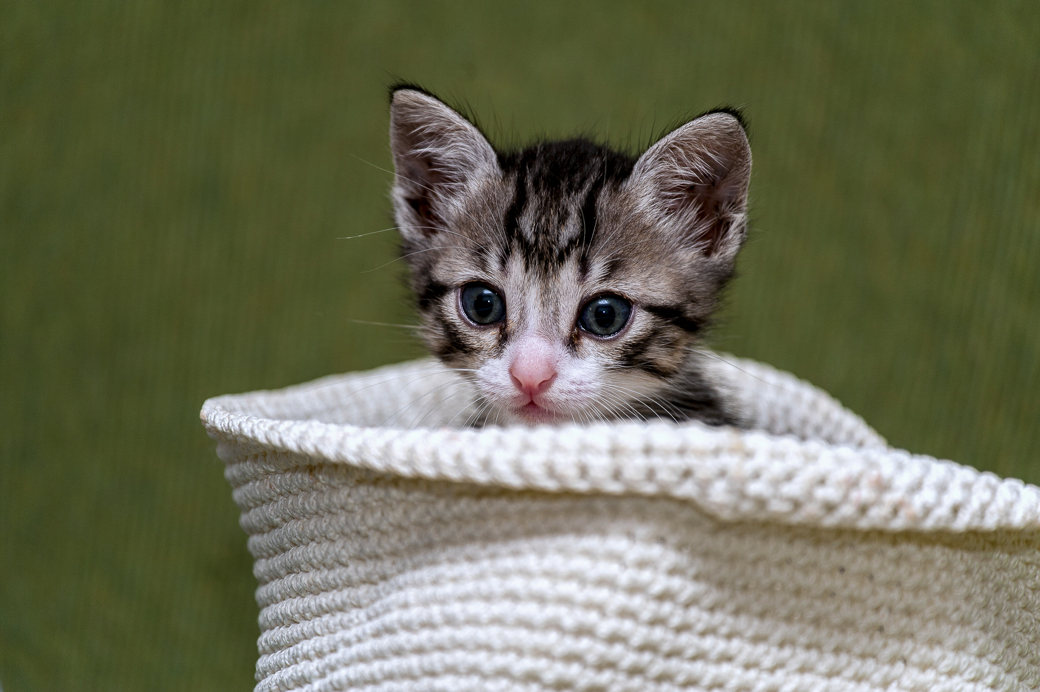 Rescue