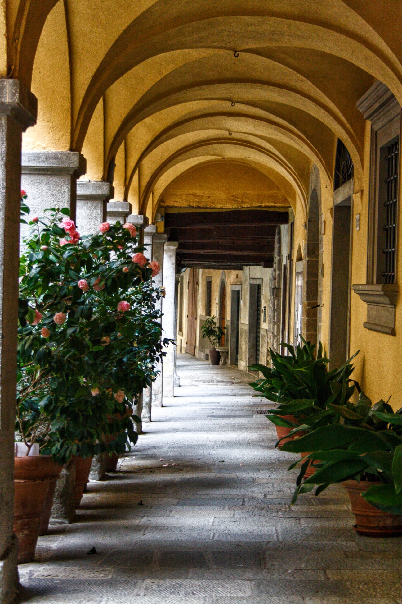 Portici