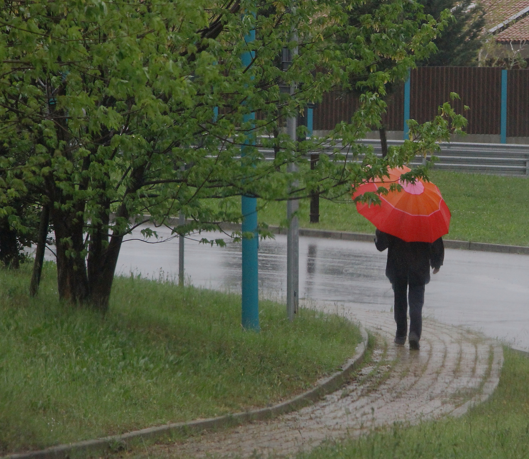 Forse piove
