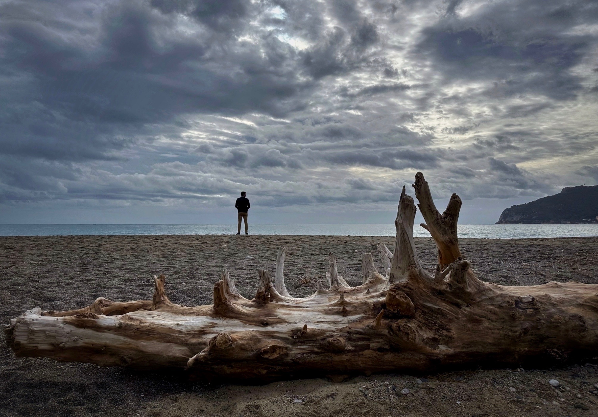 A tale of the winter sea