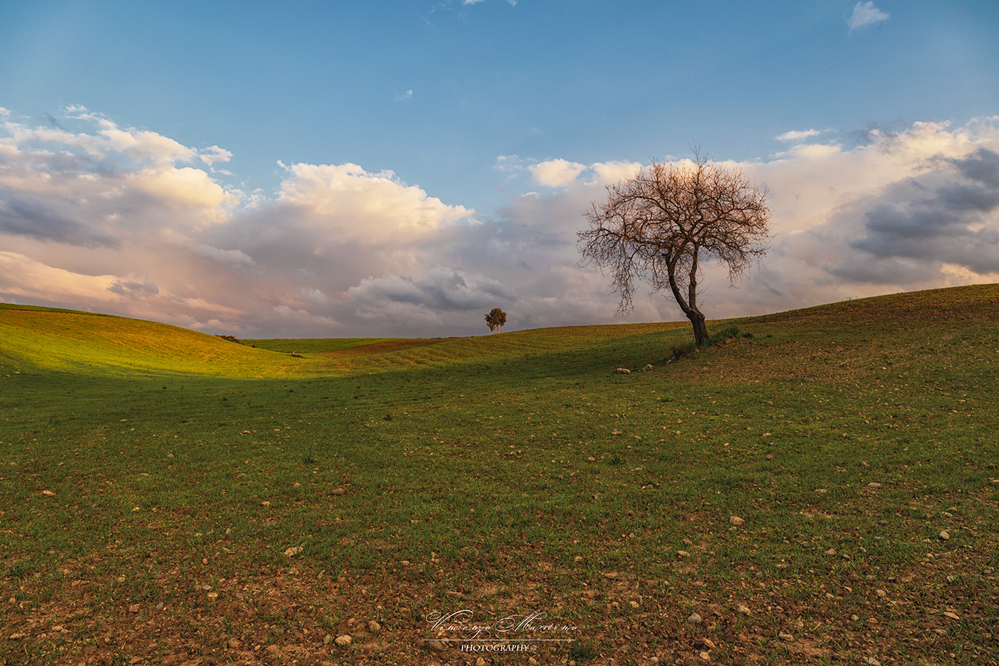 "Silence, nature speaks"