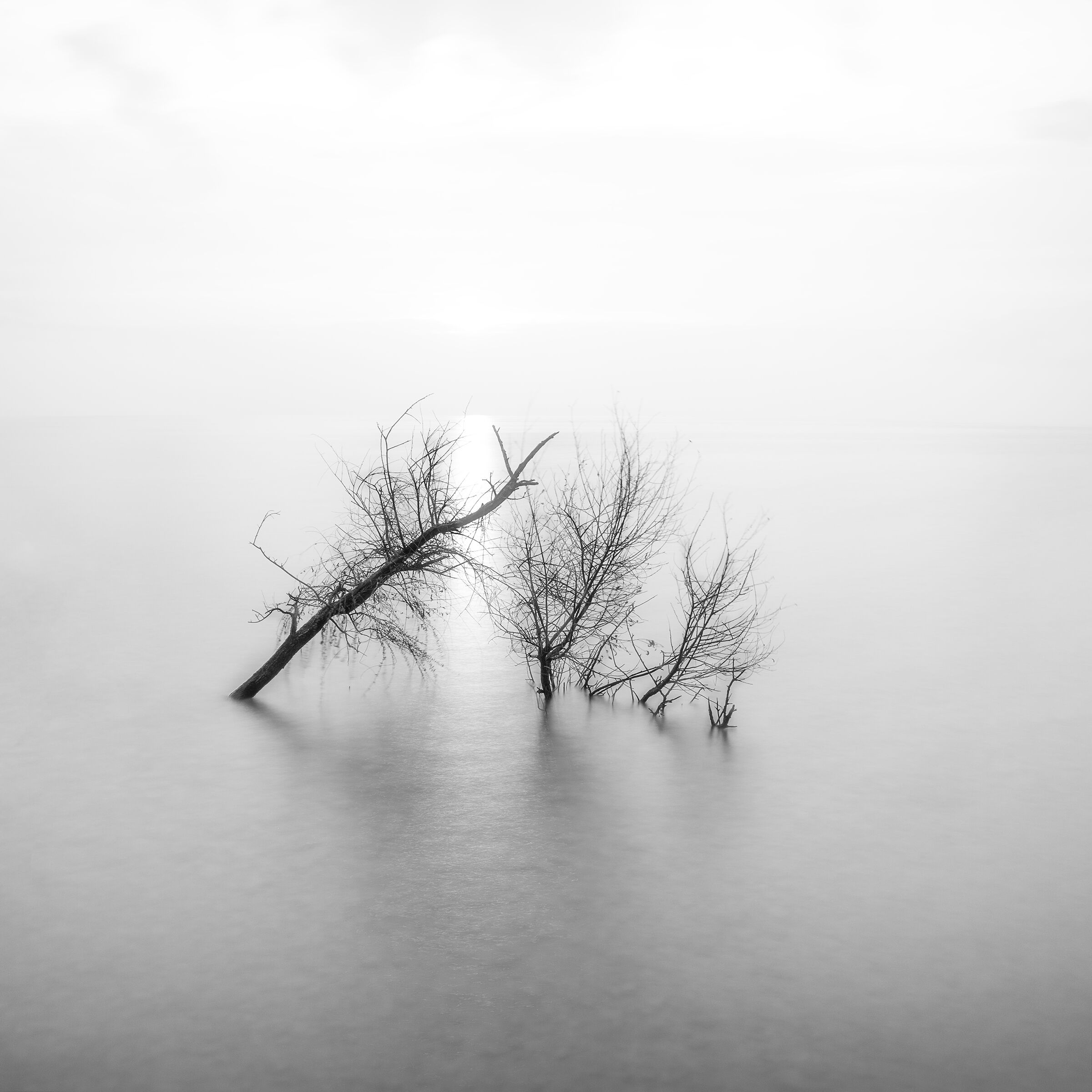 Garda lake