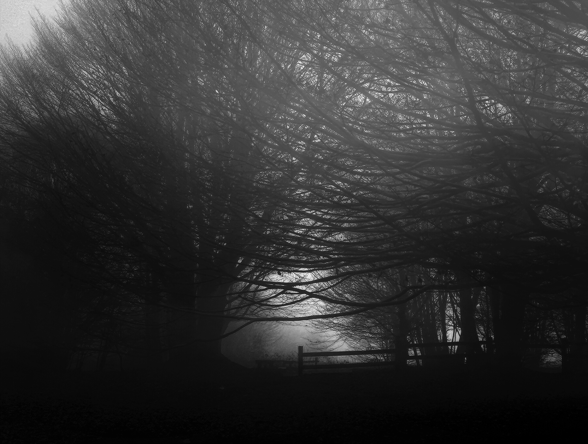 Further on... The light