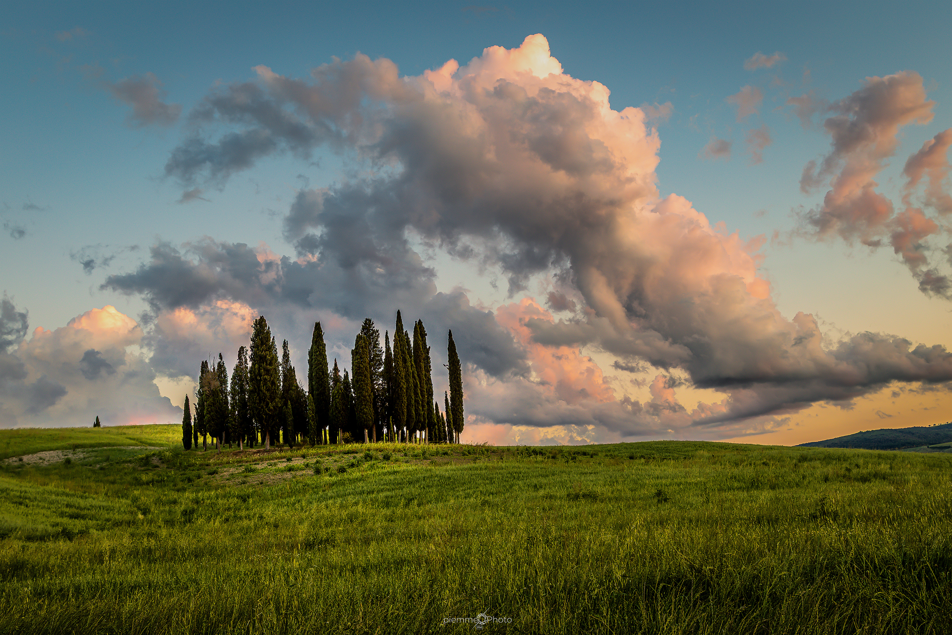 Cipressini San Quirico d'orcio