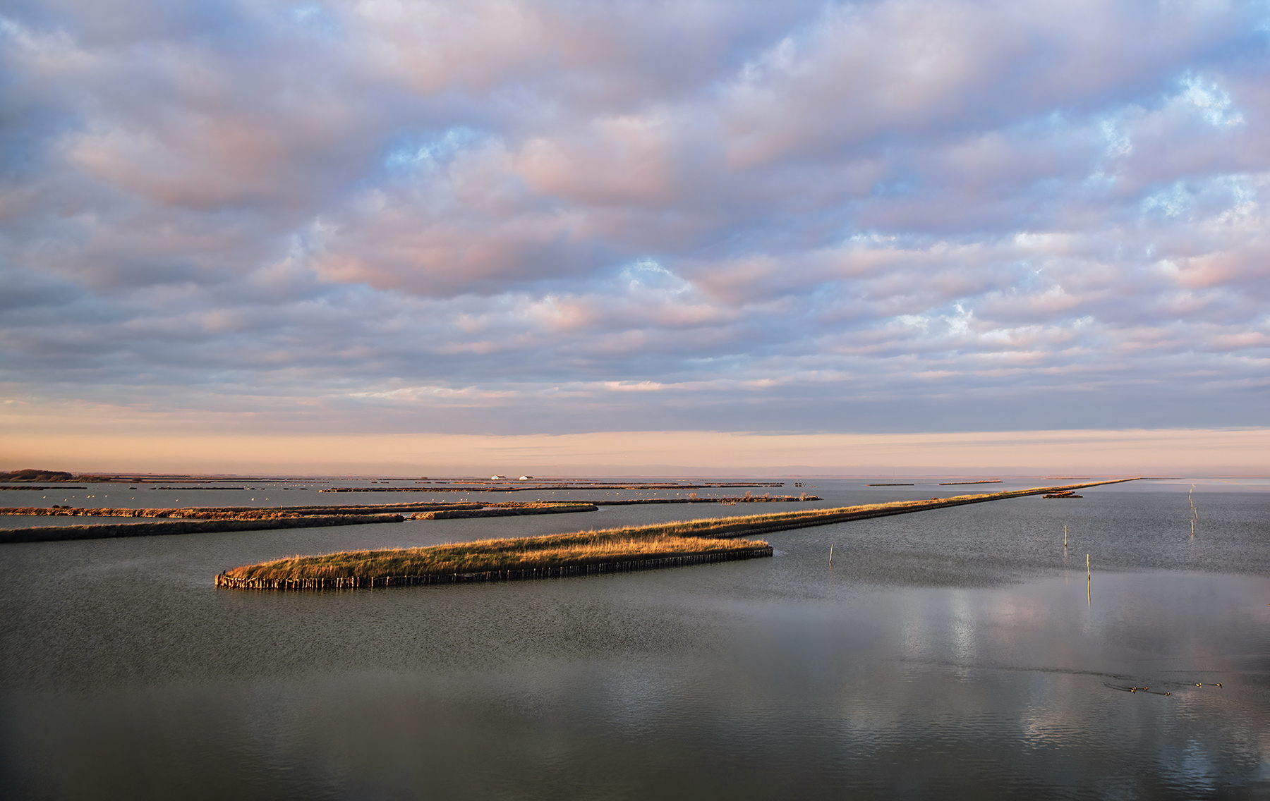 Alba sul delta del Grande Fiume