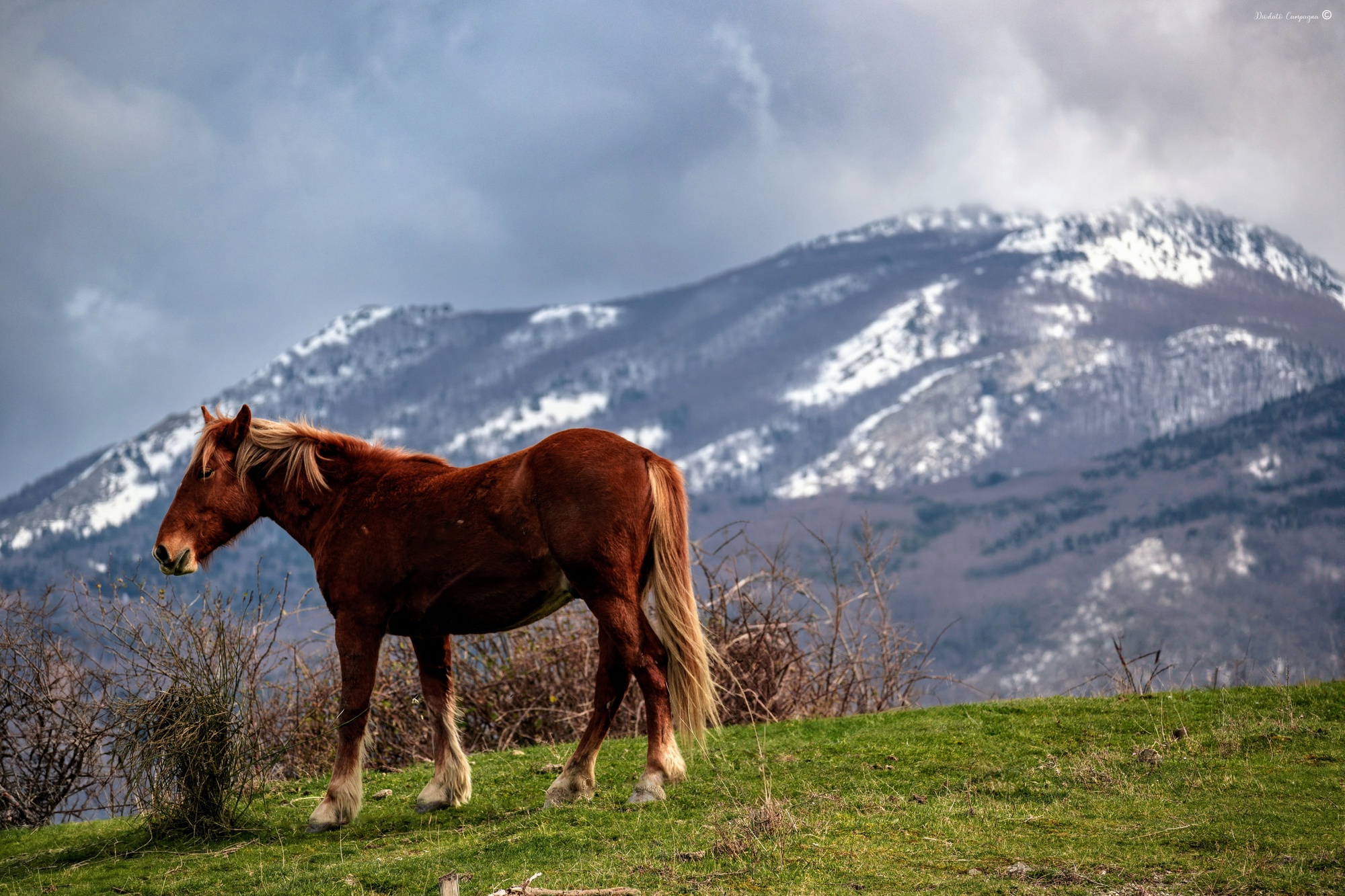 At the foot of the Pollino
