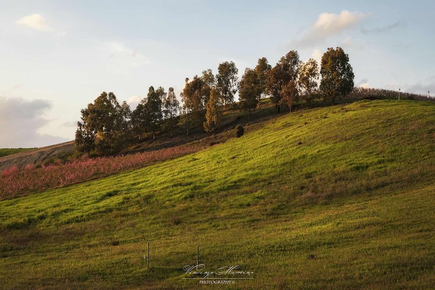 Untitled Photo