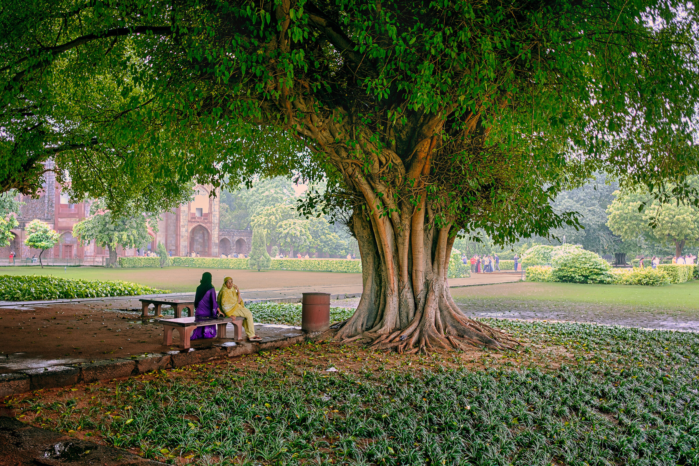 The other Delhi!