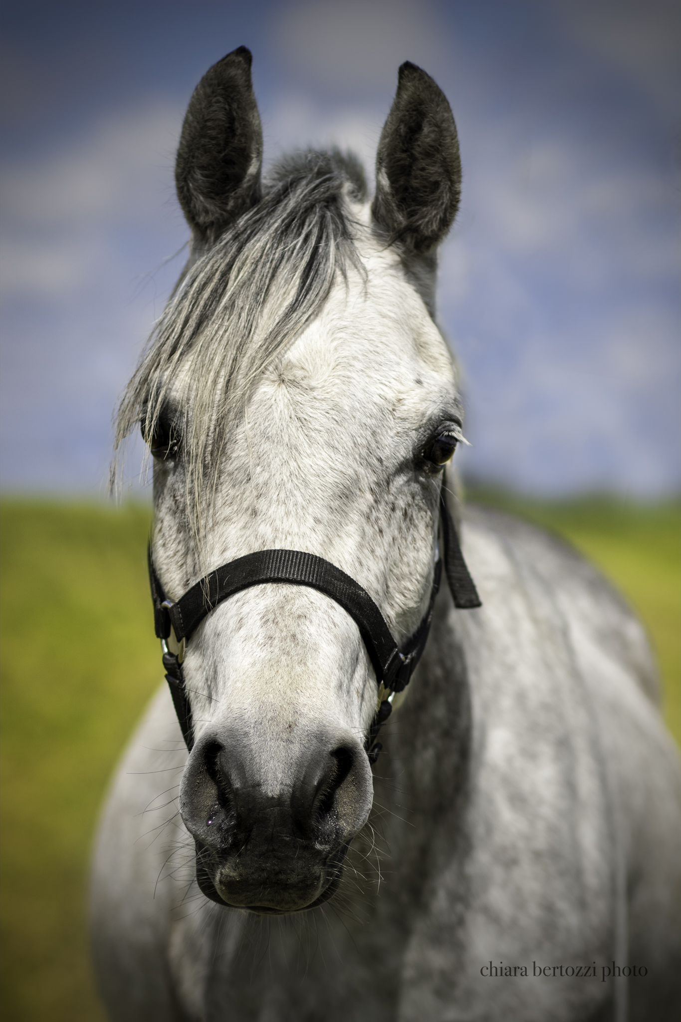 Incontro in un sogno