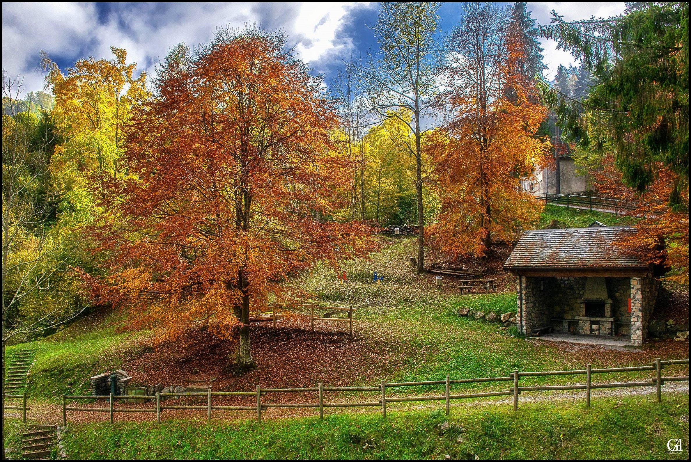 Foliage a Morterone
