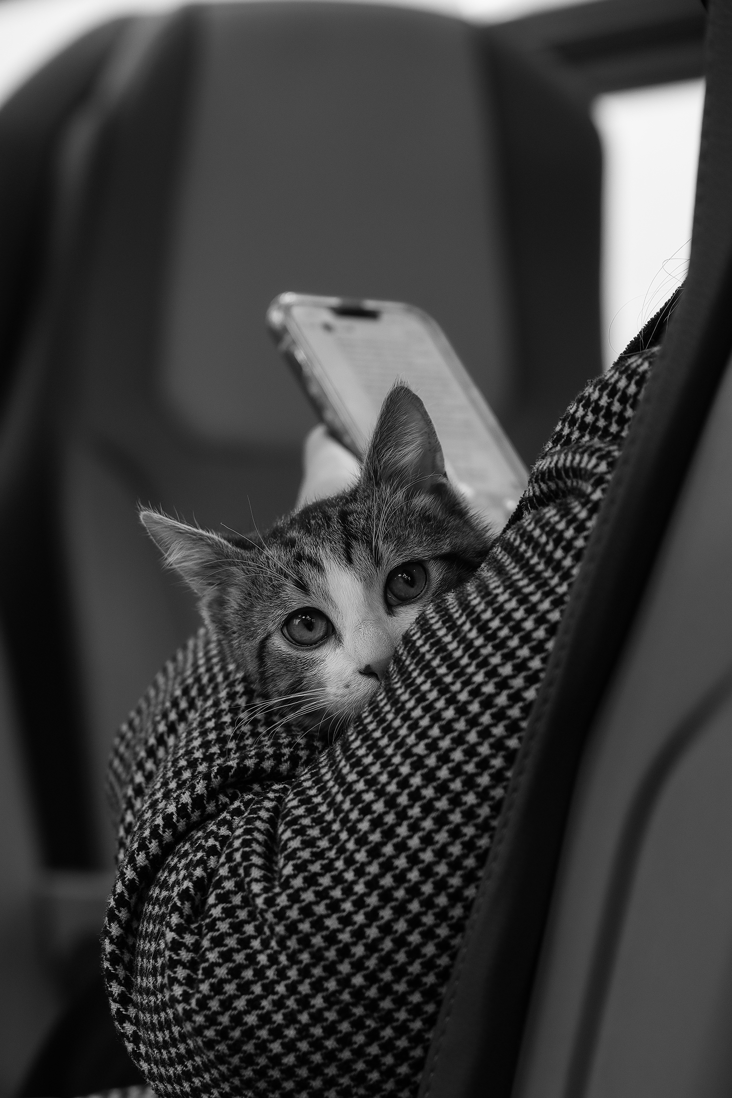 My travel neighbor.