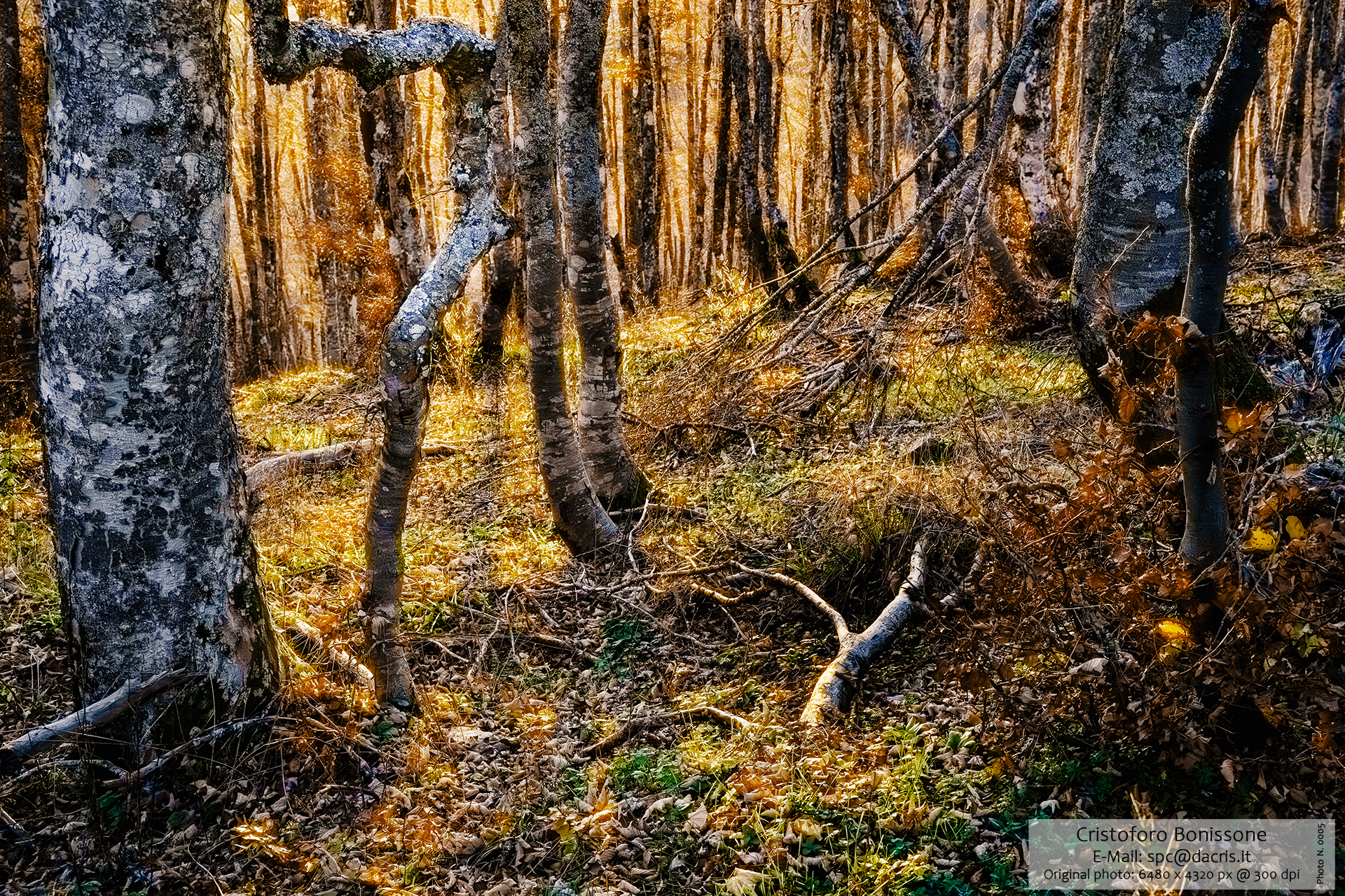Photo N.0005