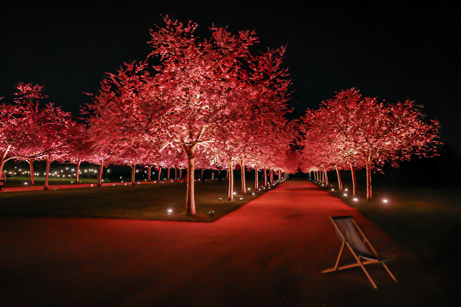 Giardini della Reggia di Venaria Reale