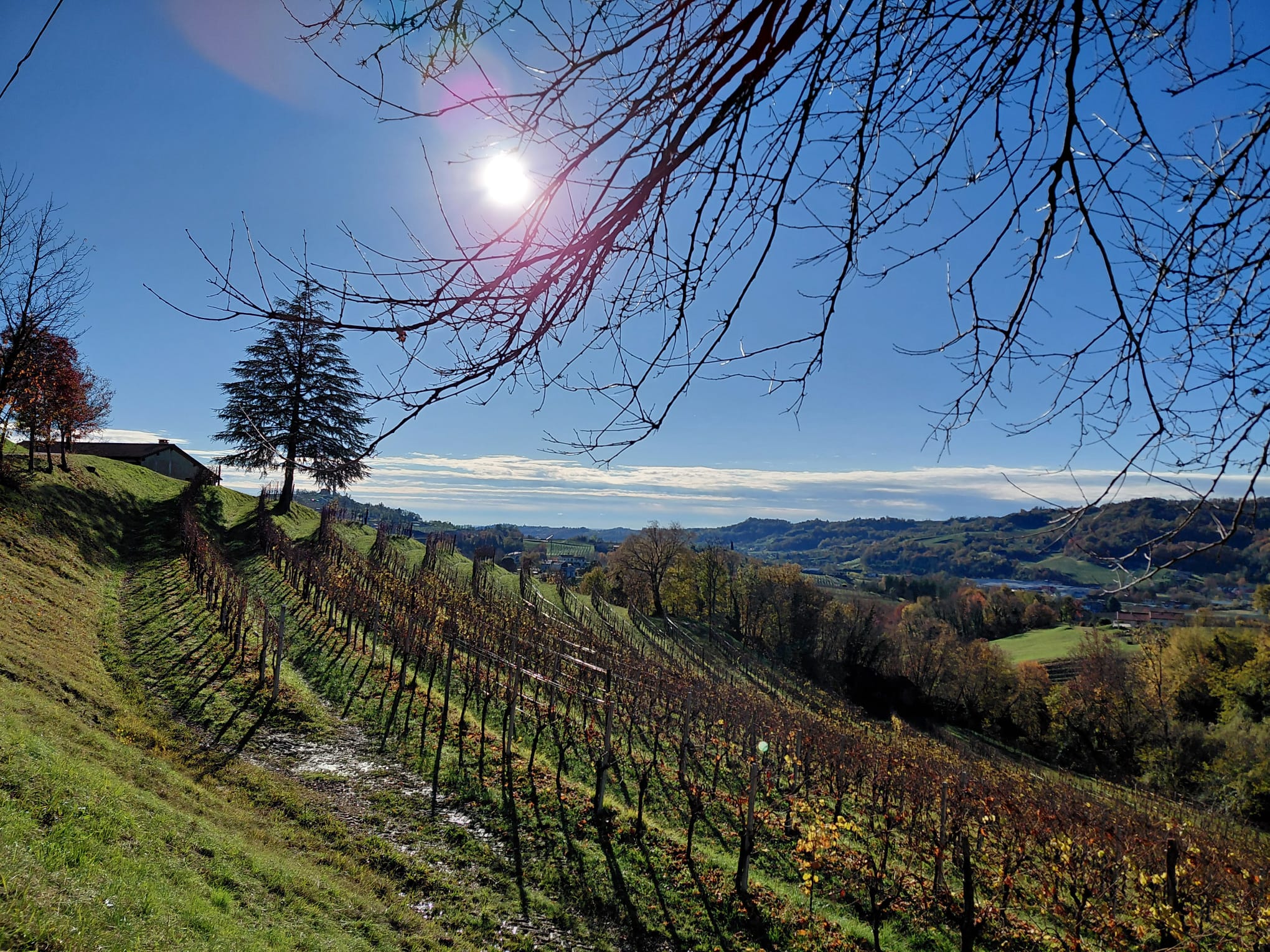 Colline in primavera