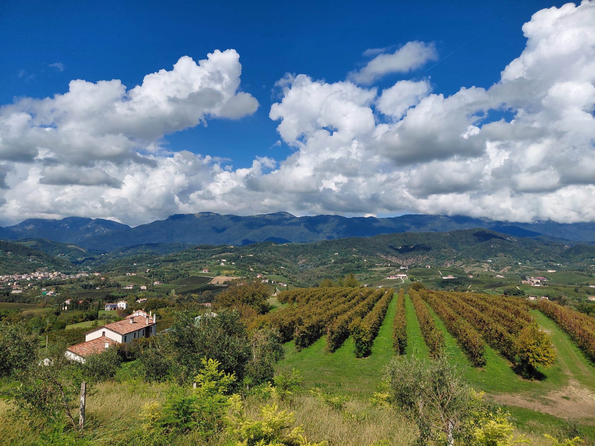 Colline in primavera