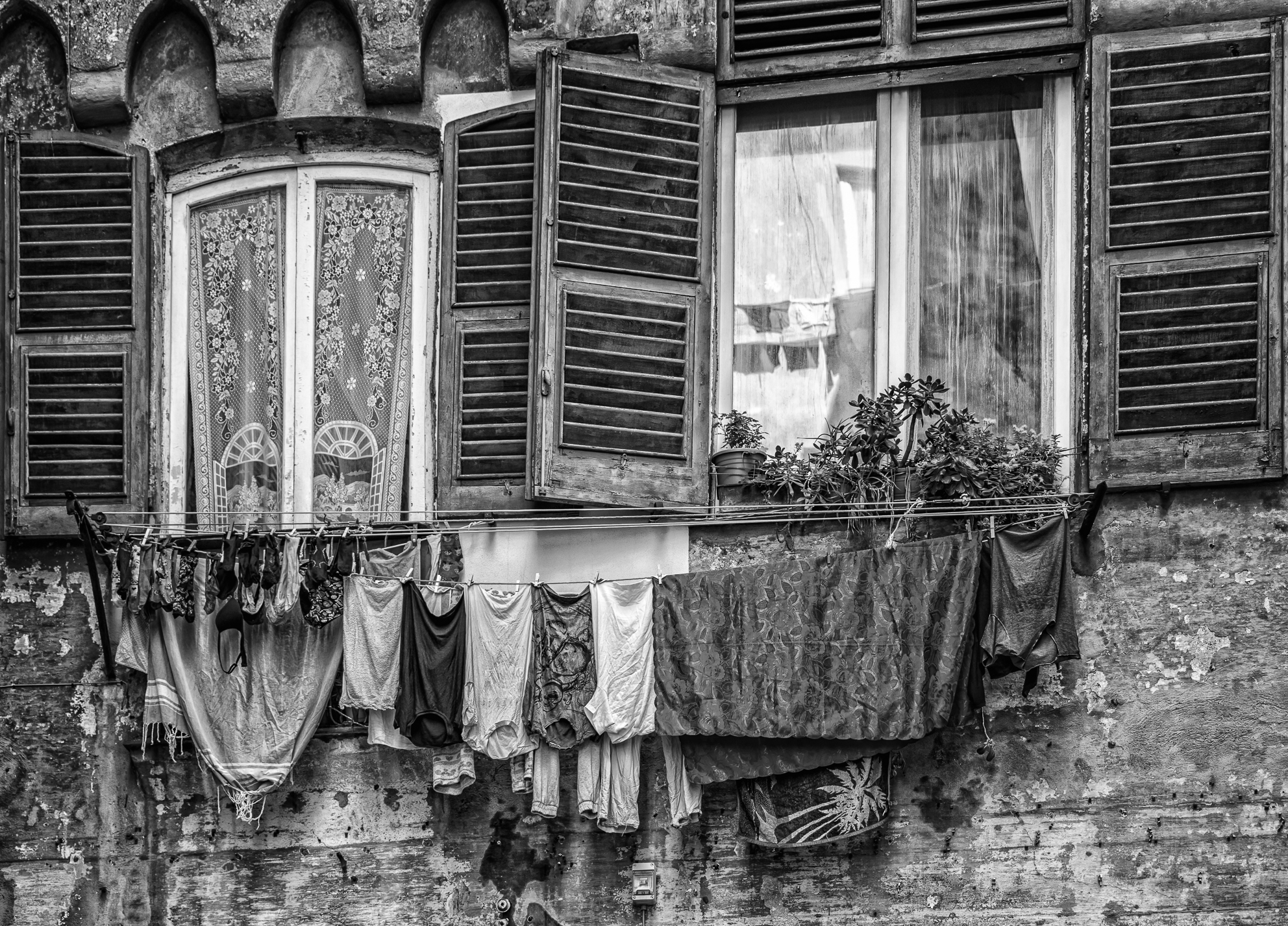 "y love caruggi"..Genova