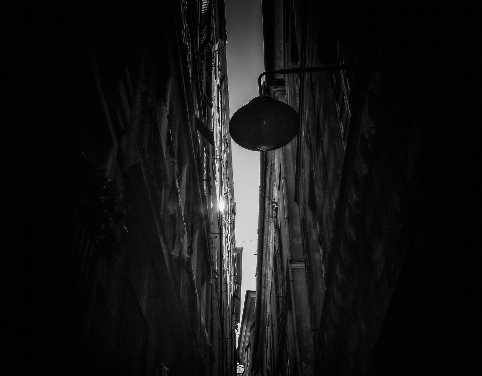 "Y love caruggi"..Genova