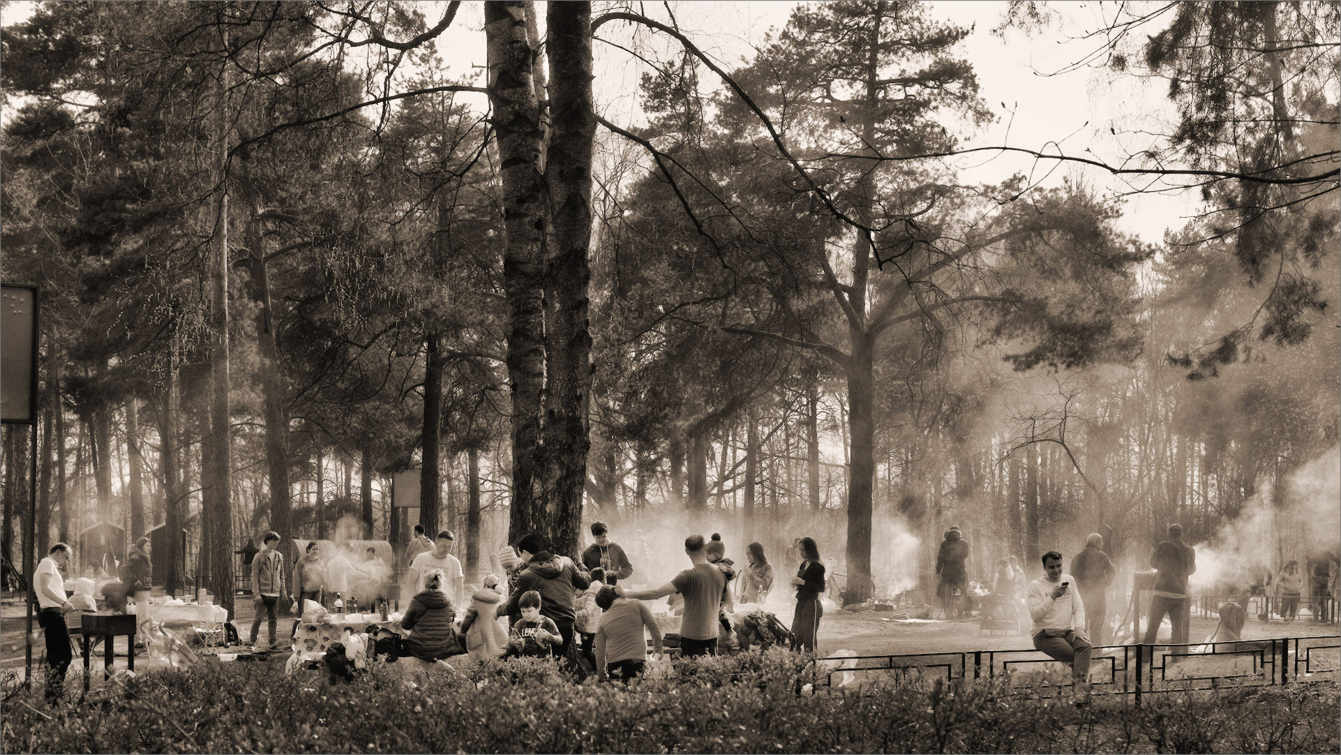 Grigliata in parco