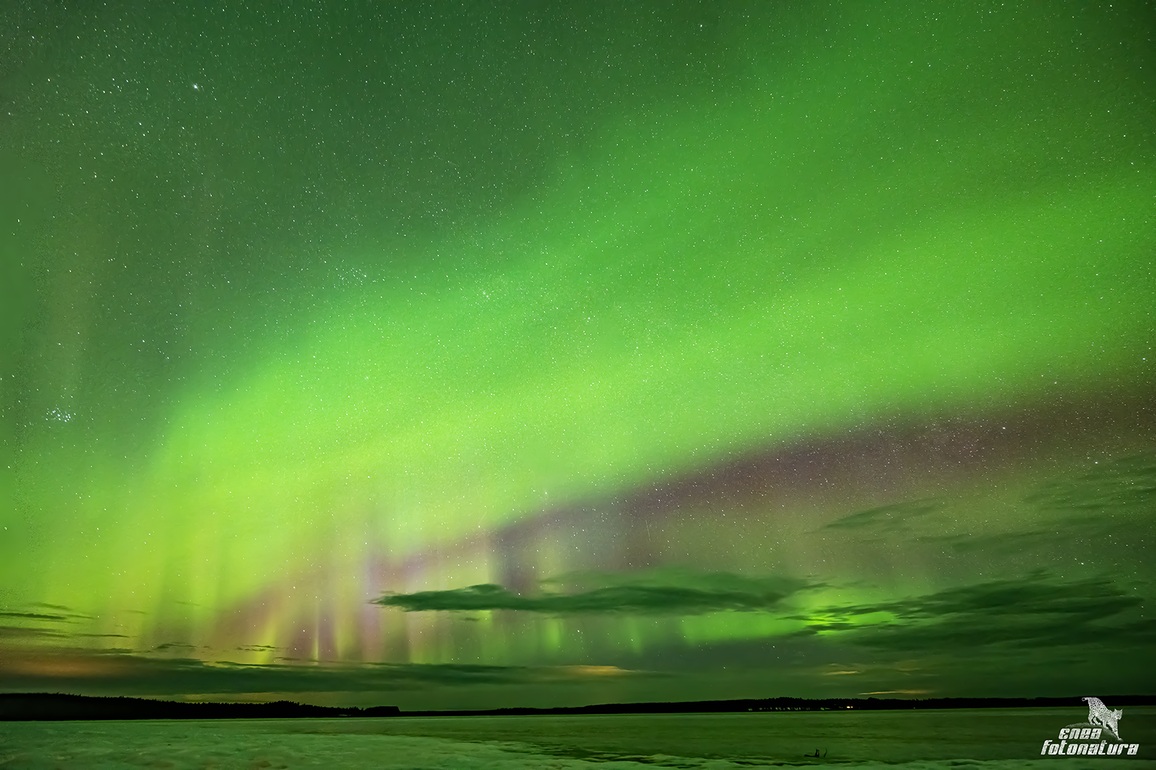 una notte magica