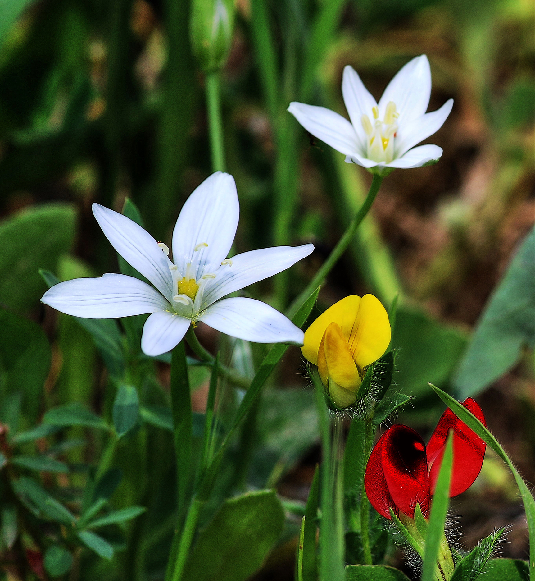 Another spring...