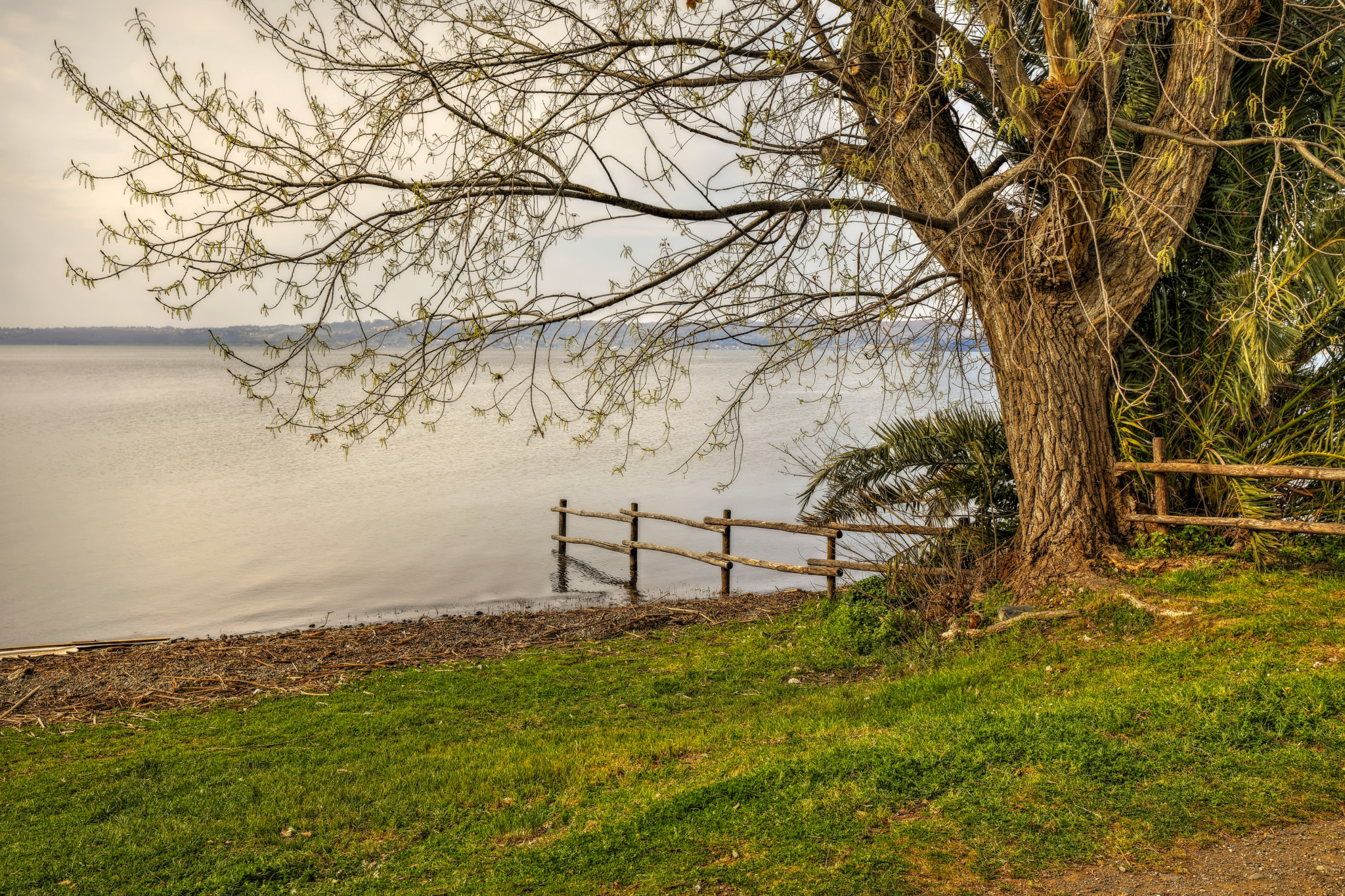 Sulle sponde del lago di Bracciano
