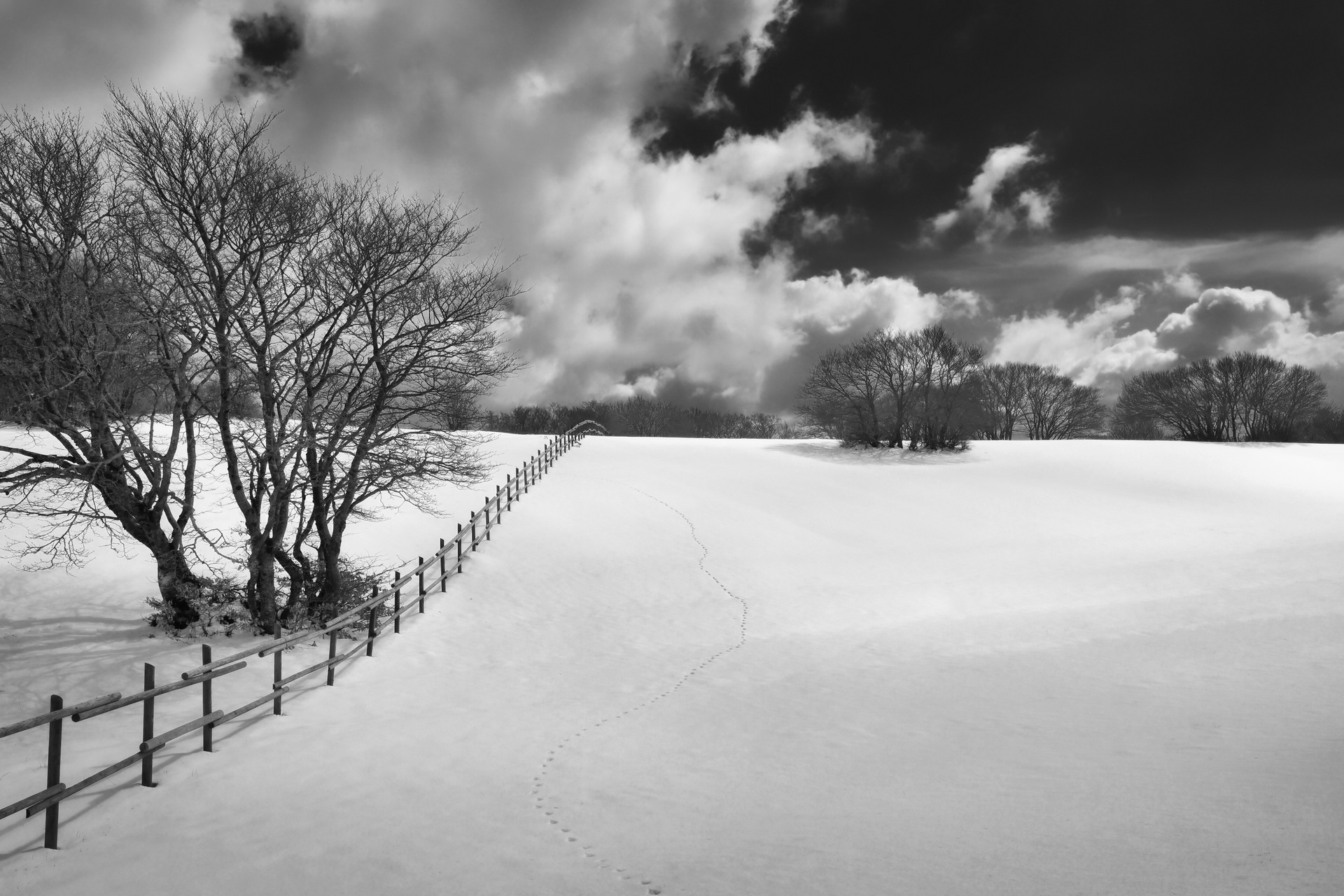 Snow at the Prati di Monte San Vicino - Matelica (MC)
