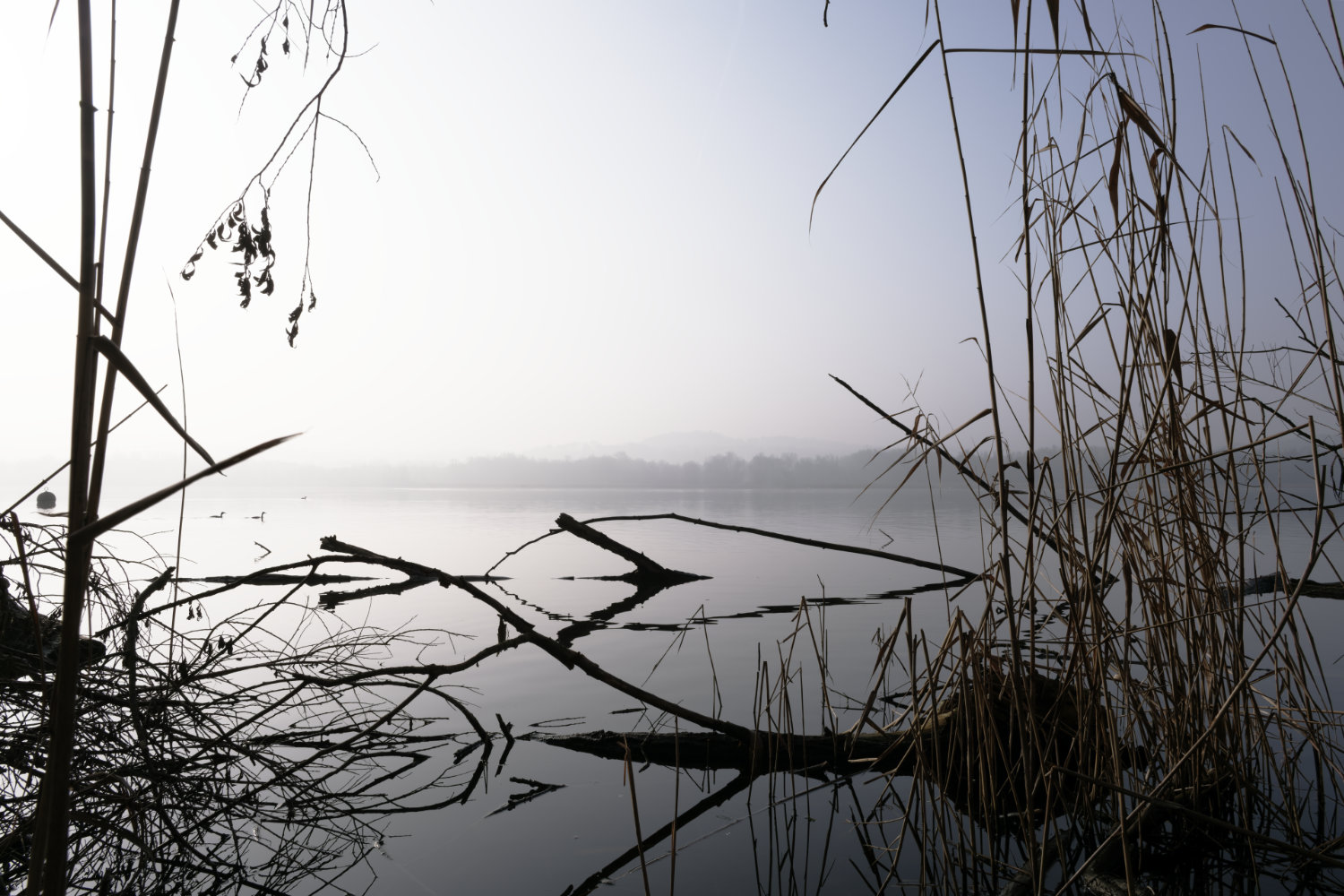 Lago_01