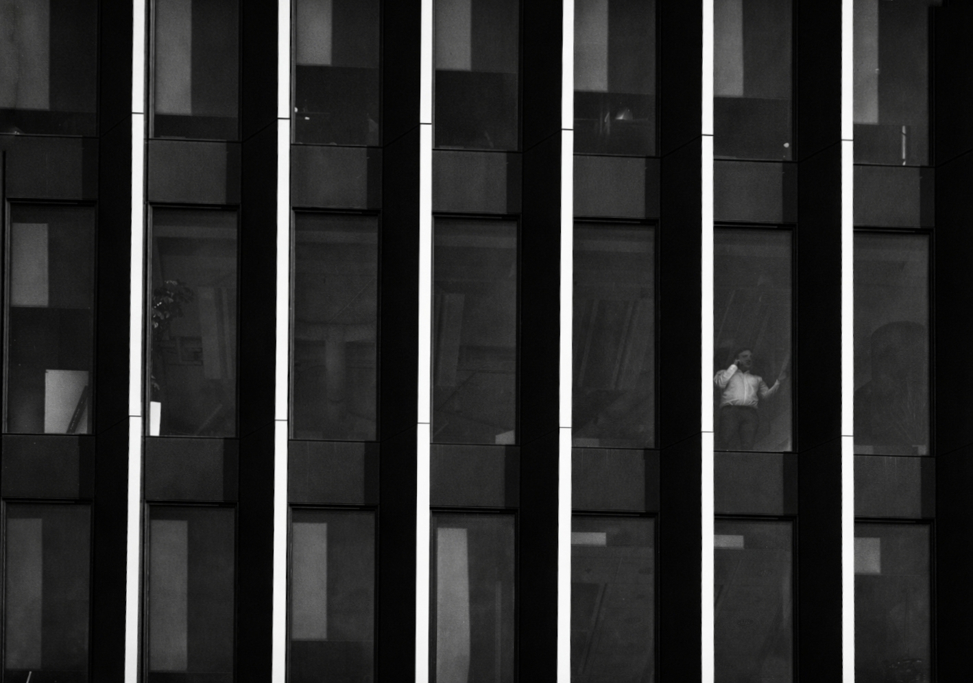 Office cage