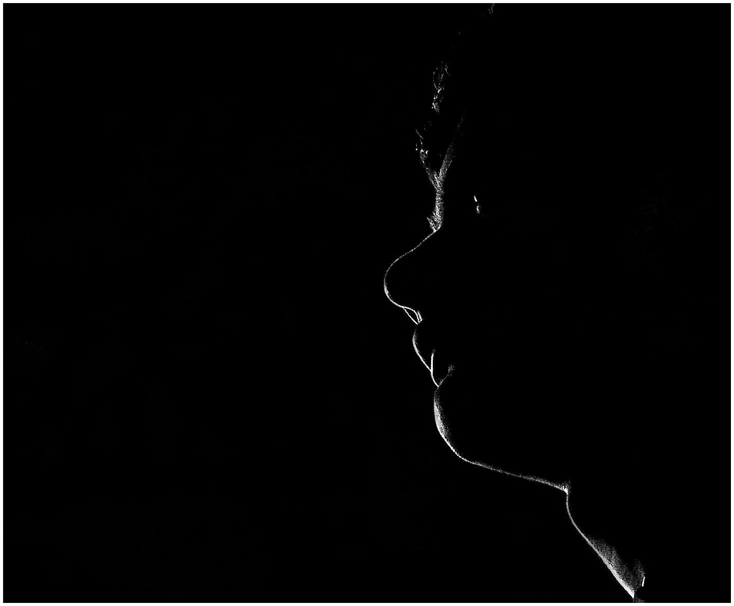 Profile in the dark