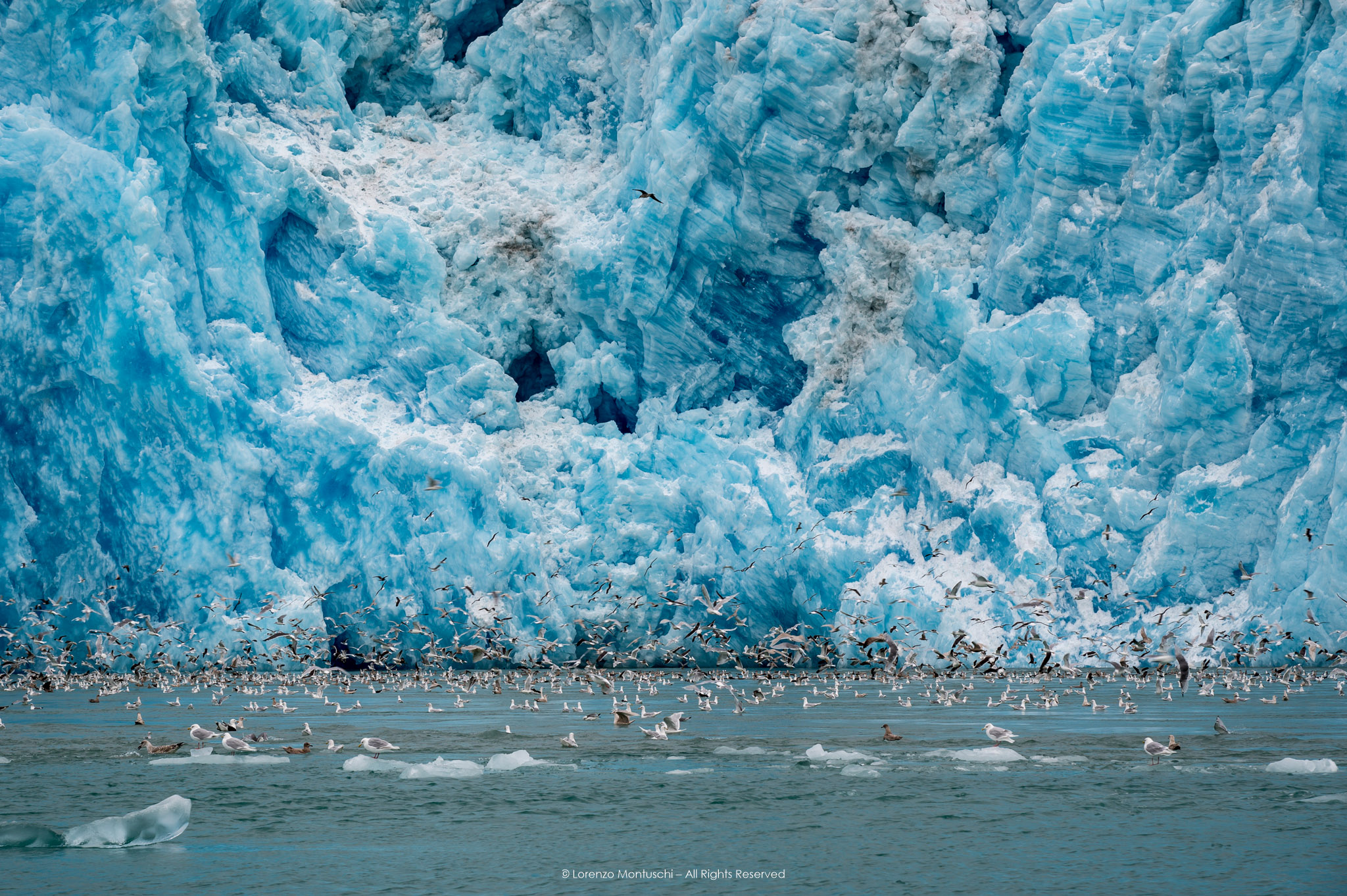 Where it all begins...