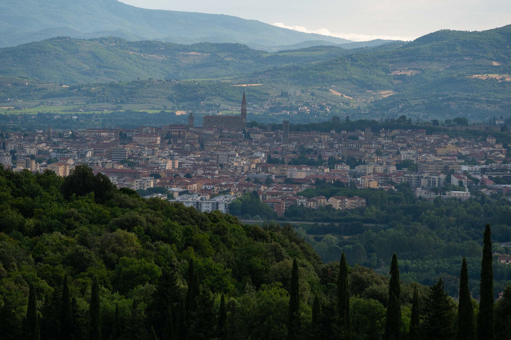 DALL'ALTO 3