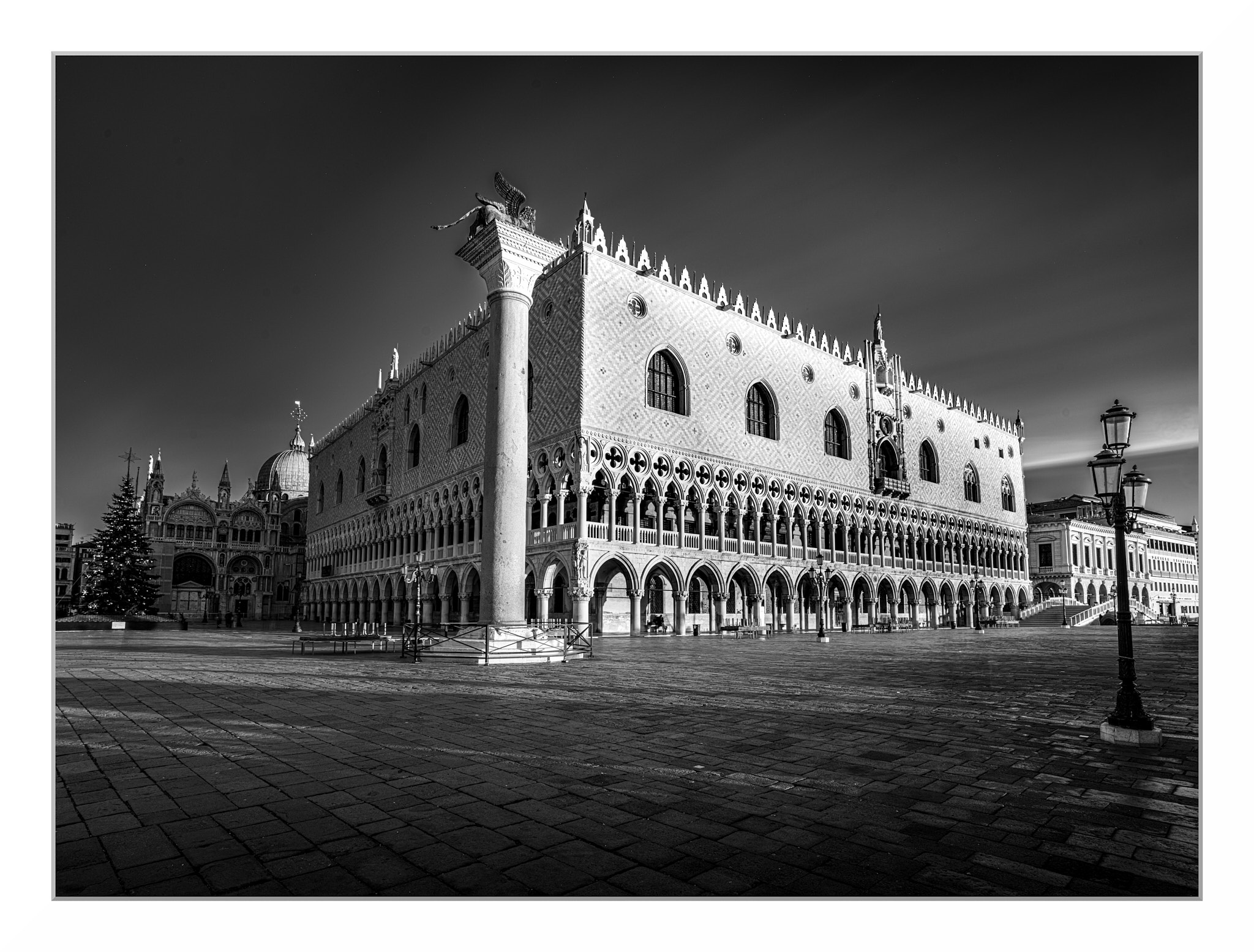 the lion of St. Mark