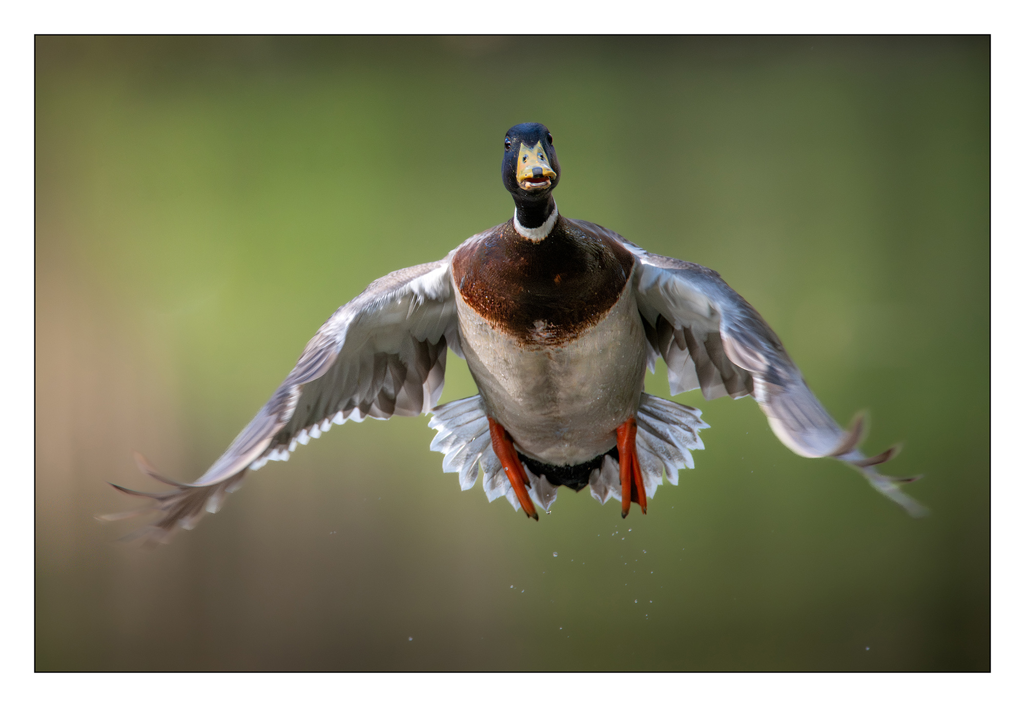 Take-off