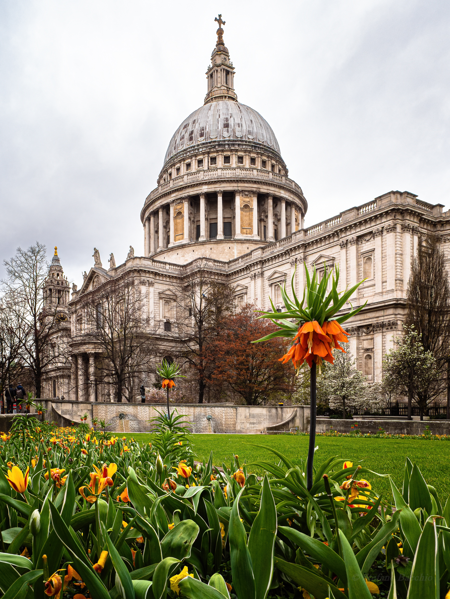St. Paul's Cathedral