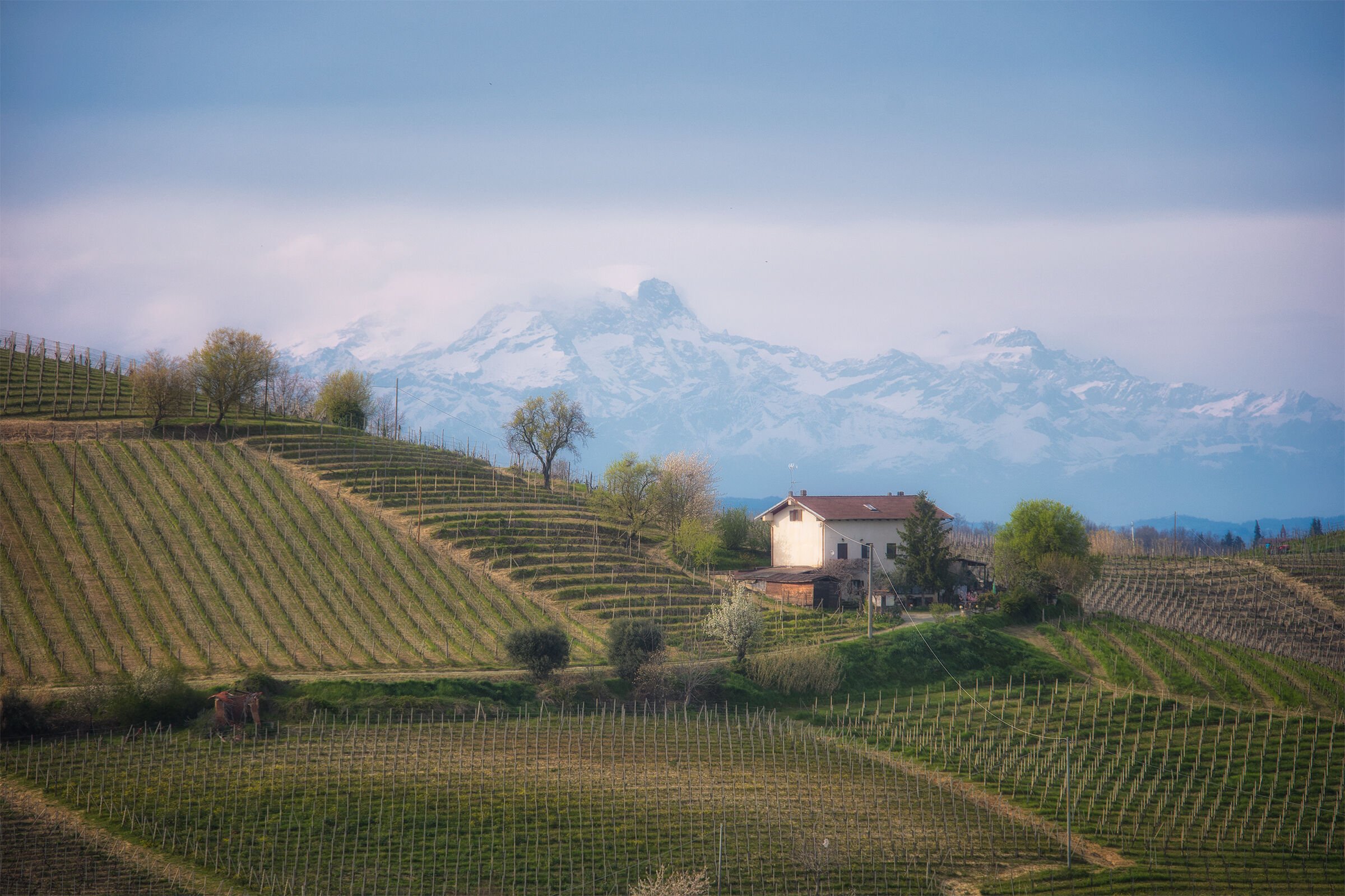 Dalle colline alessandrine