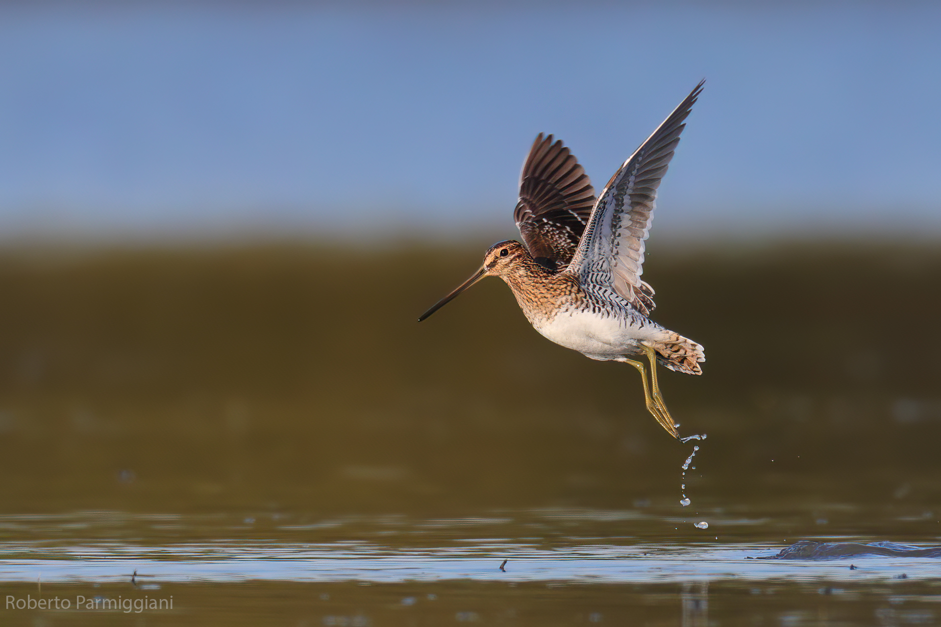 Dance step (snipe)