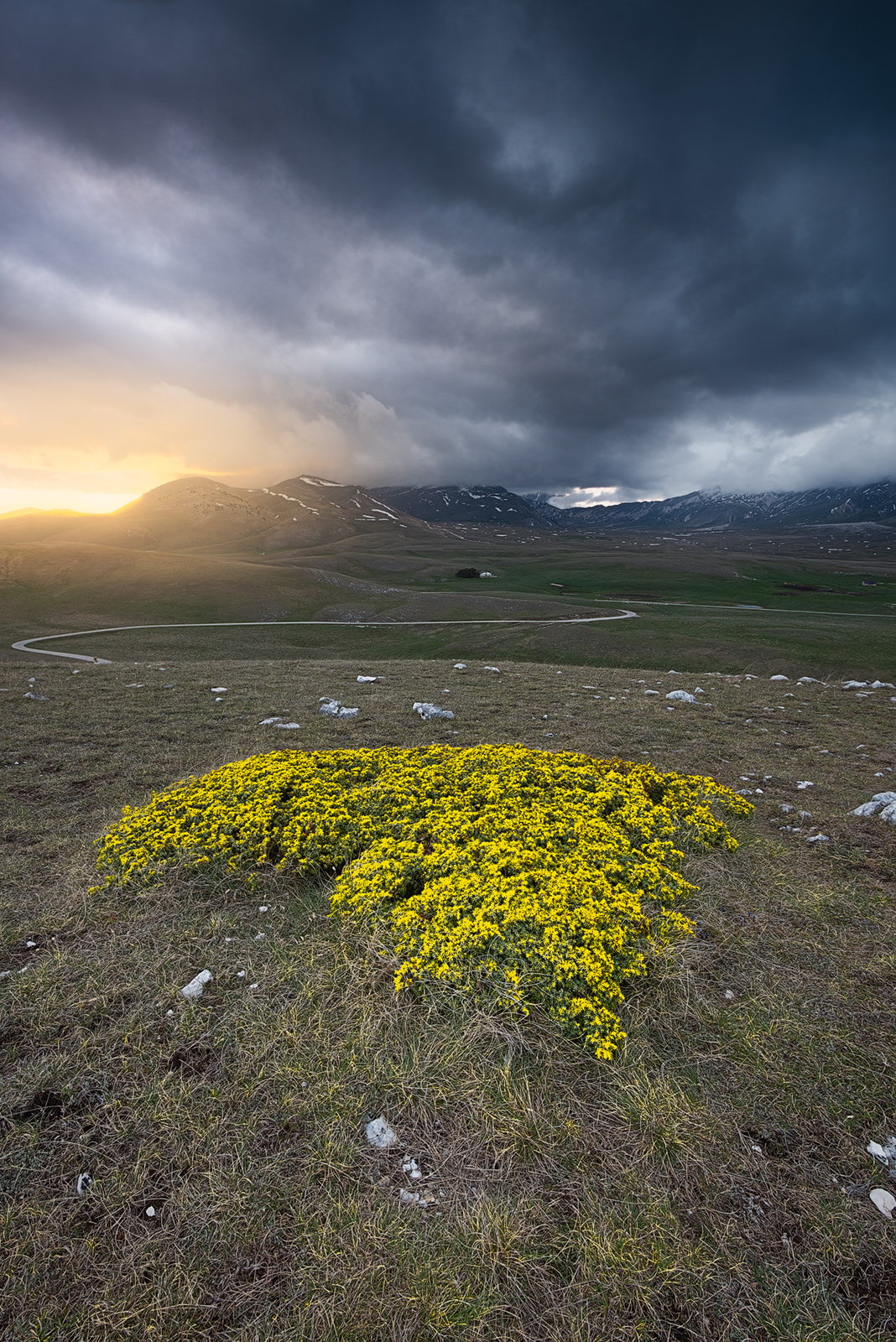Campo Imperatore - May 2024