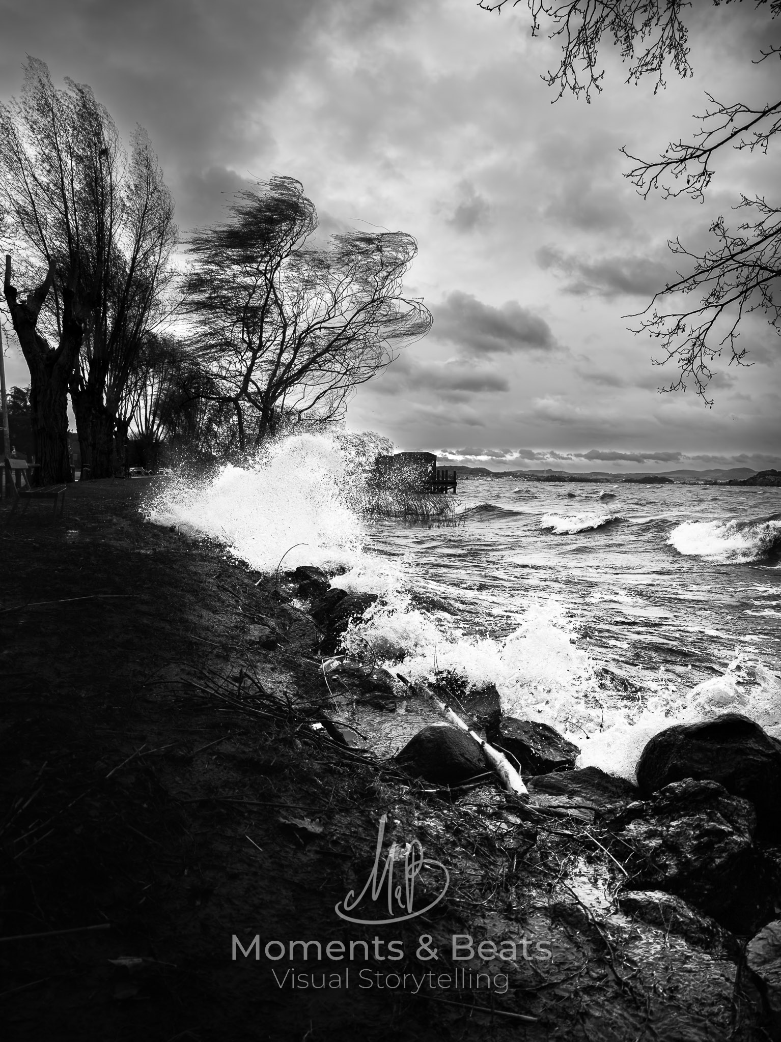 Quando il vento decide...