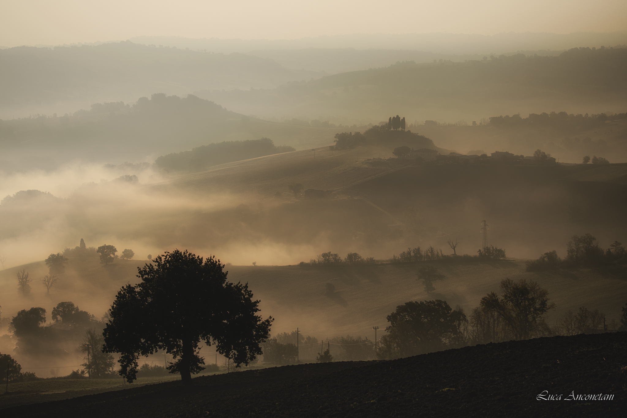 Campagna marchigiana
