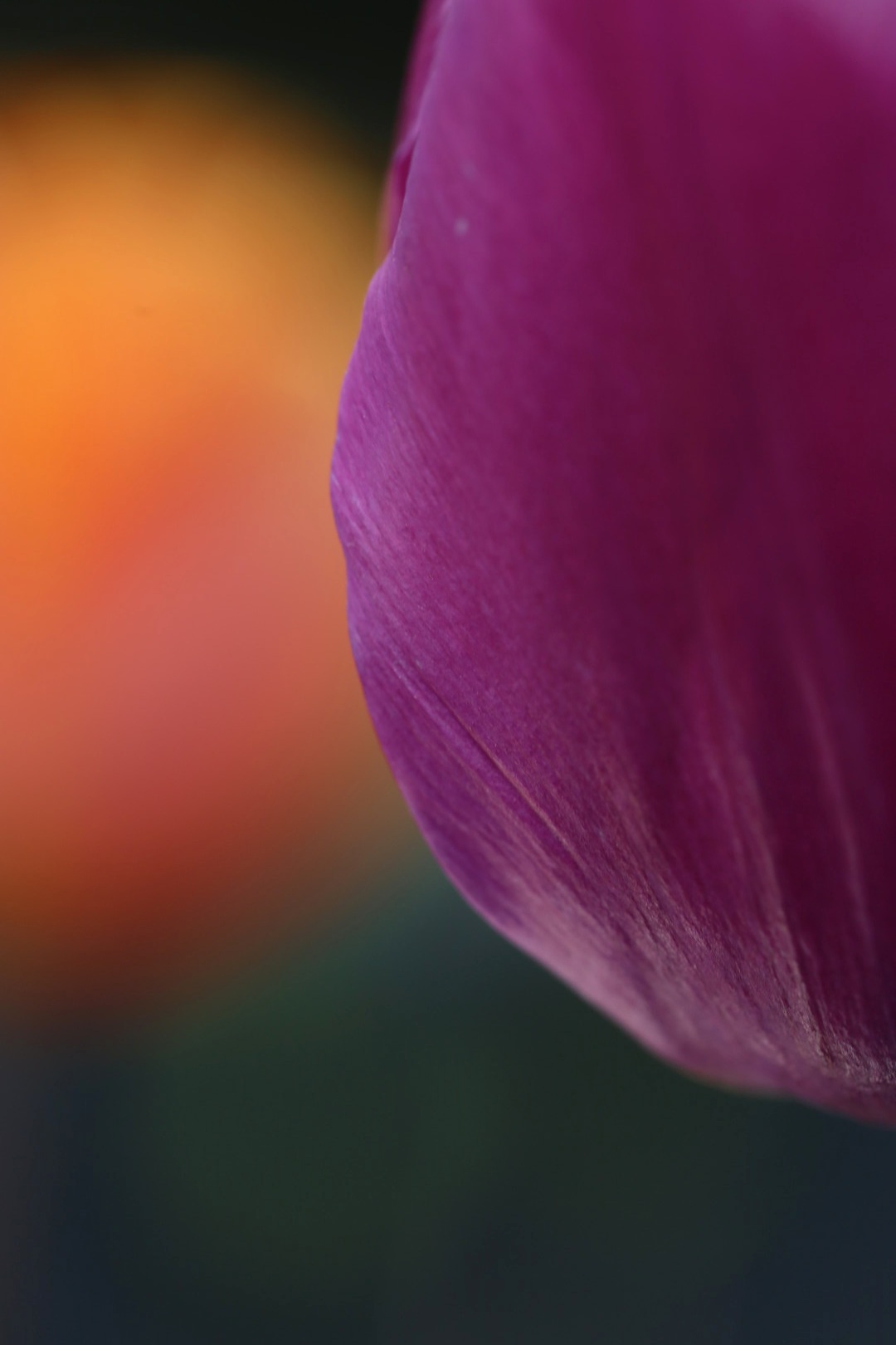 colors