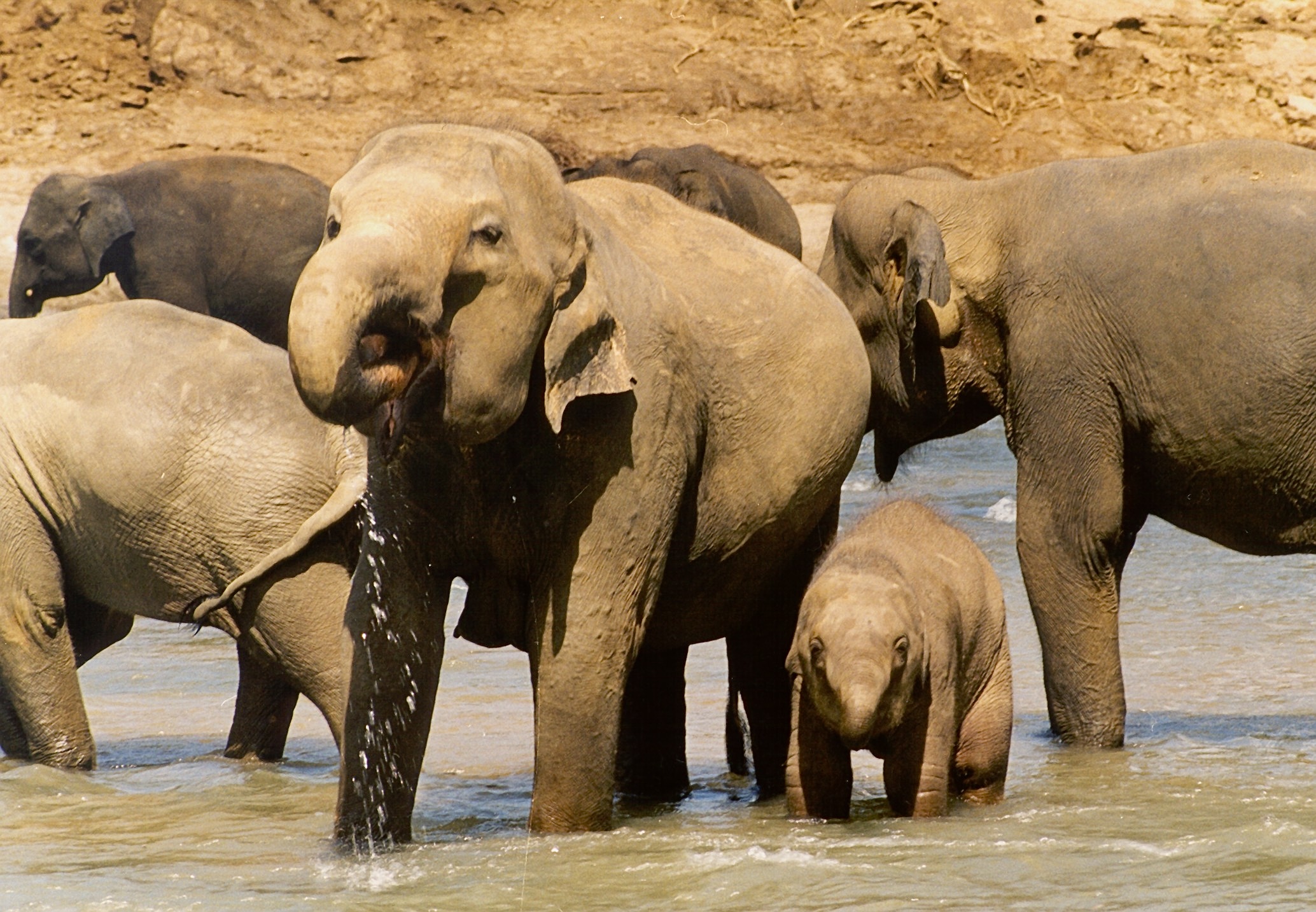 A nice bath that is always pleasant