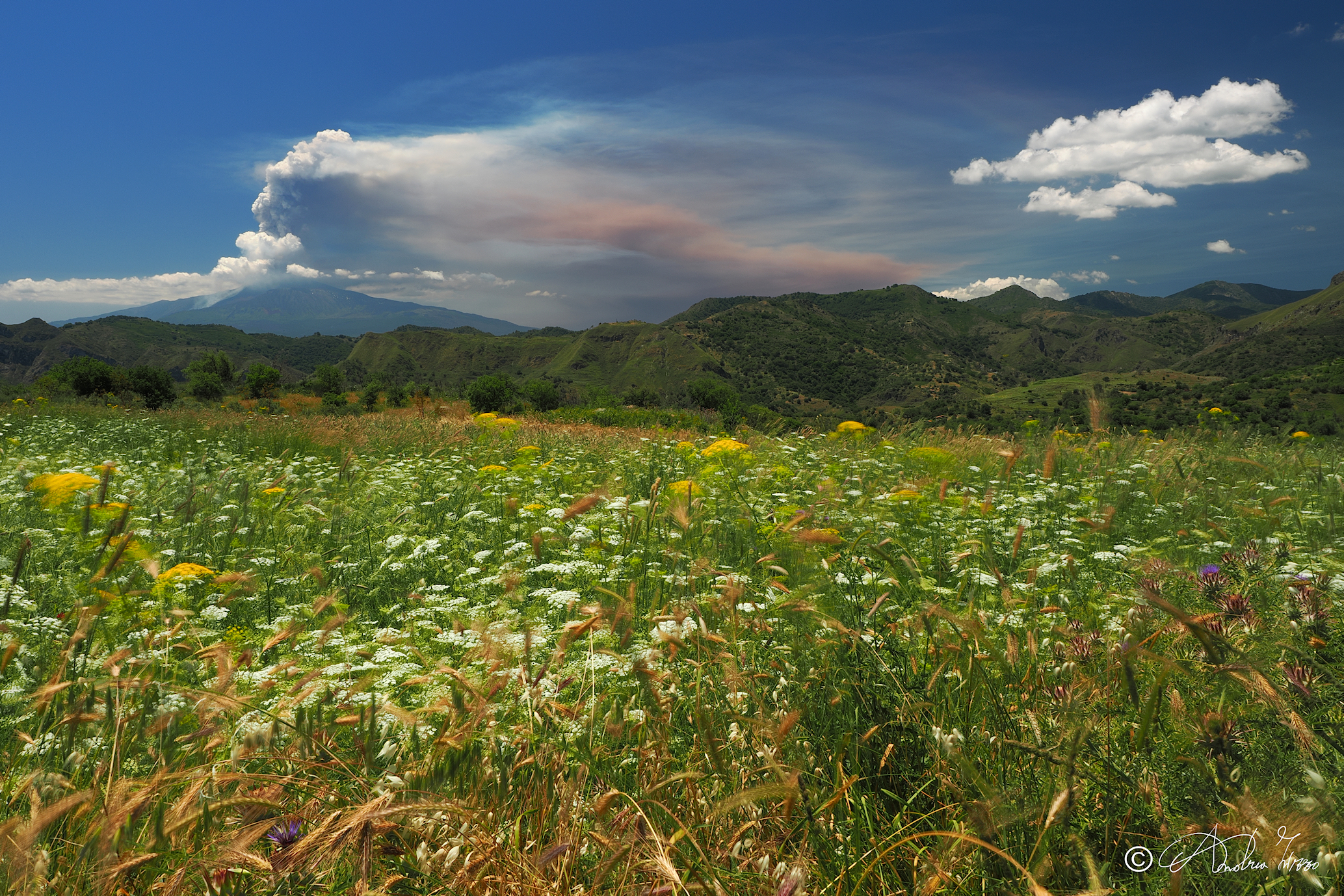 primavera con Etna
