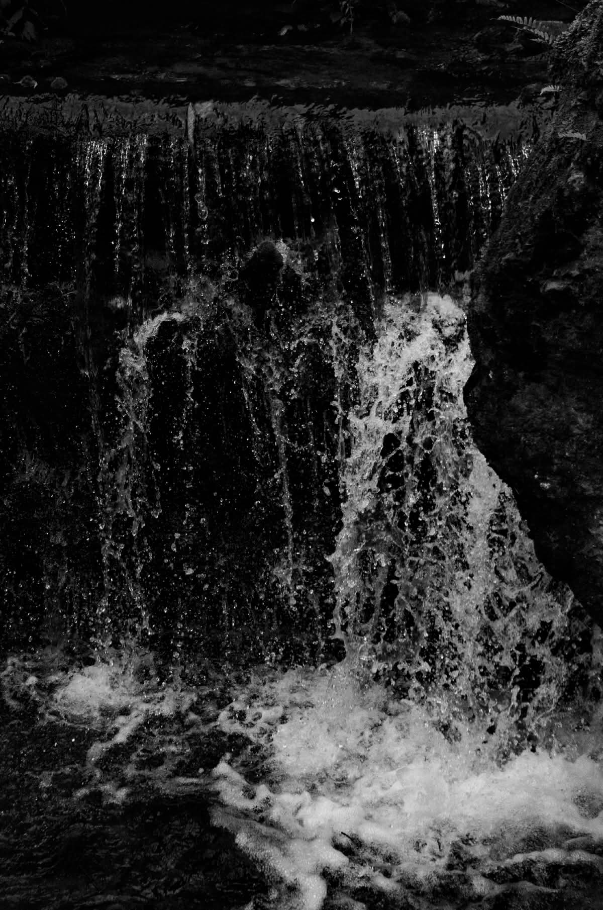 Il mio bianco è nero