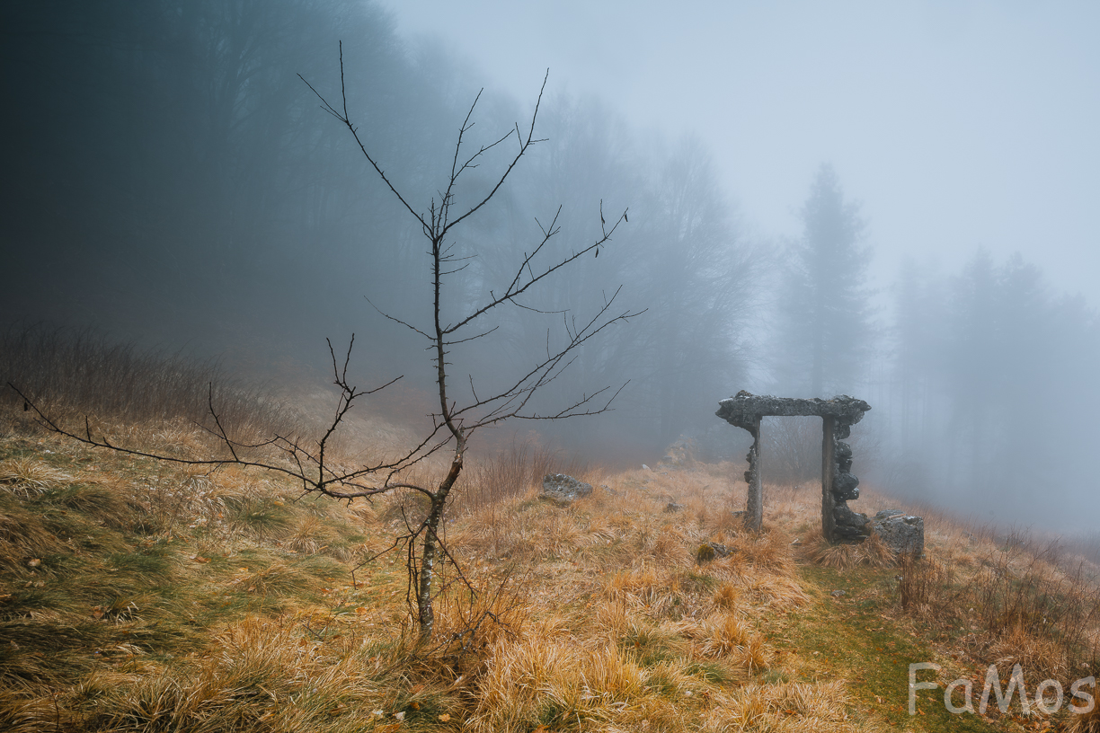 The dance of an absence