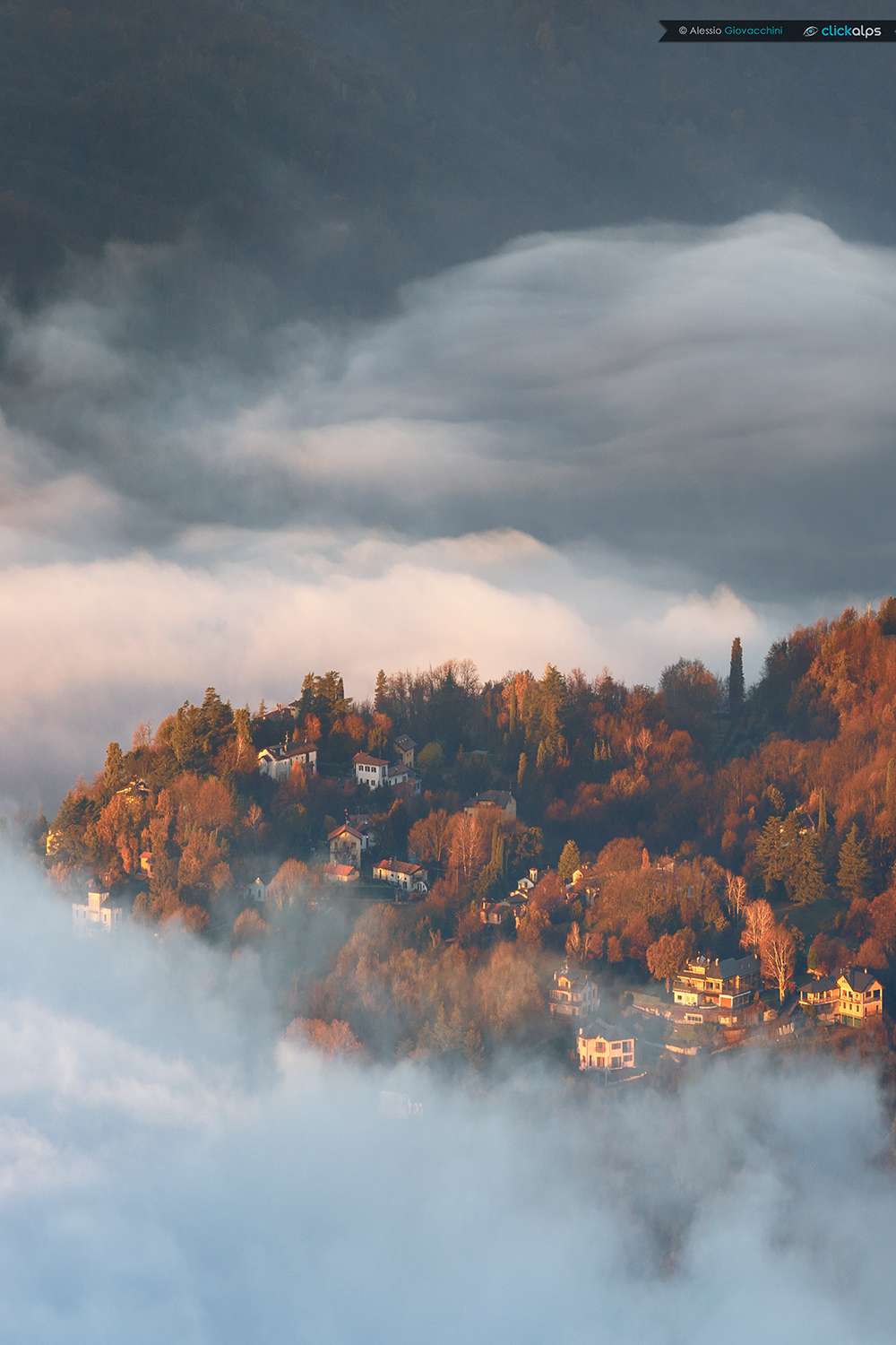 Brunate