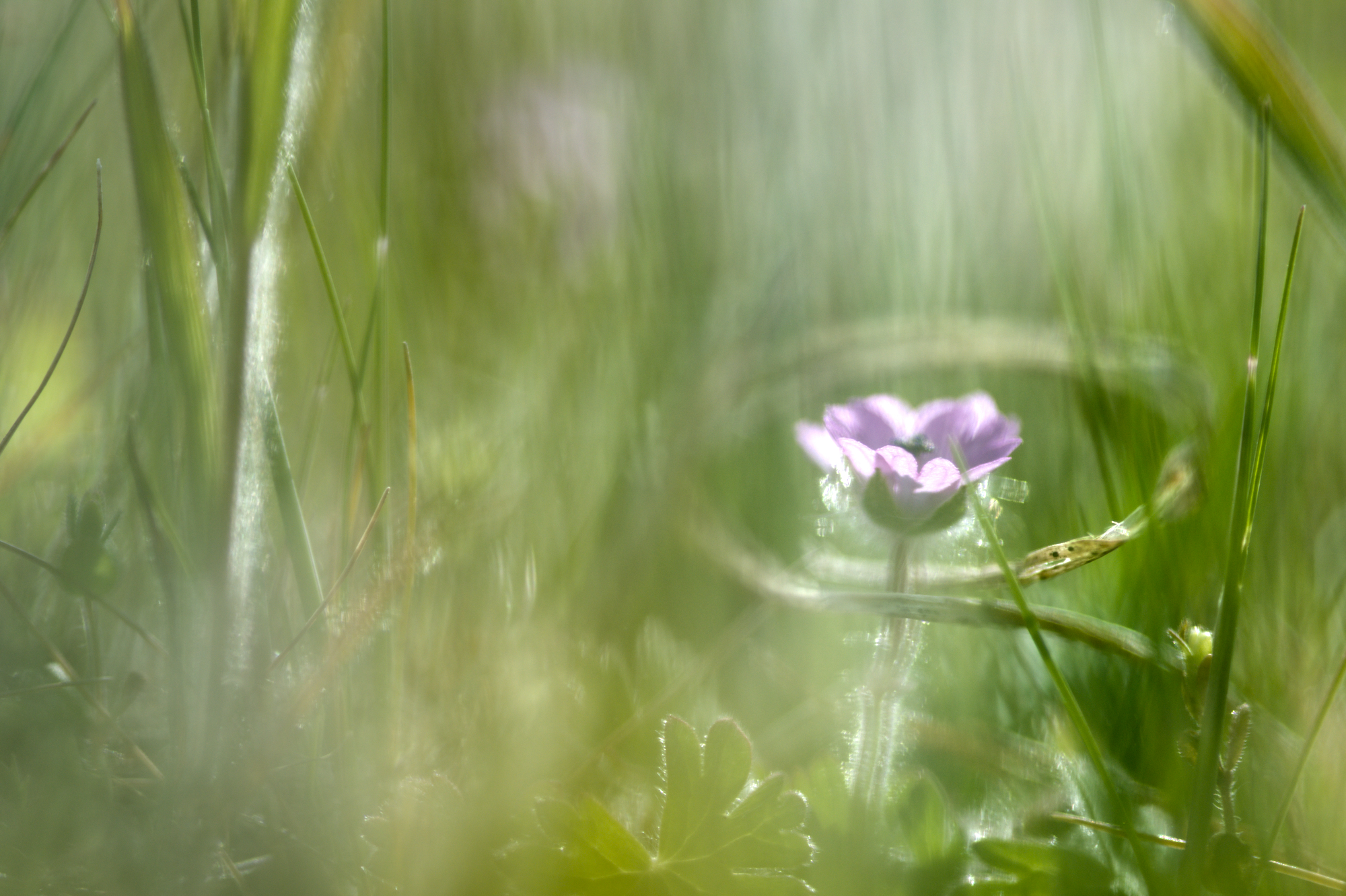 Untitled Photo
