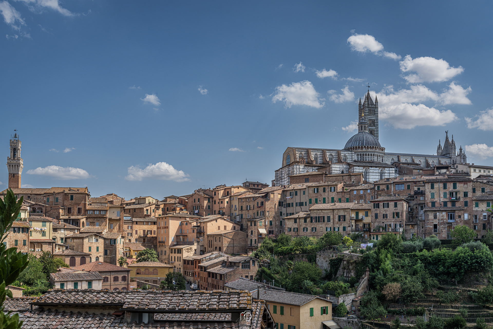 Siena