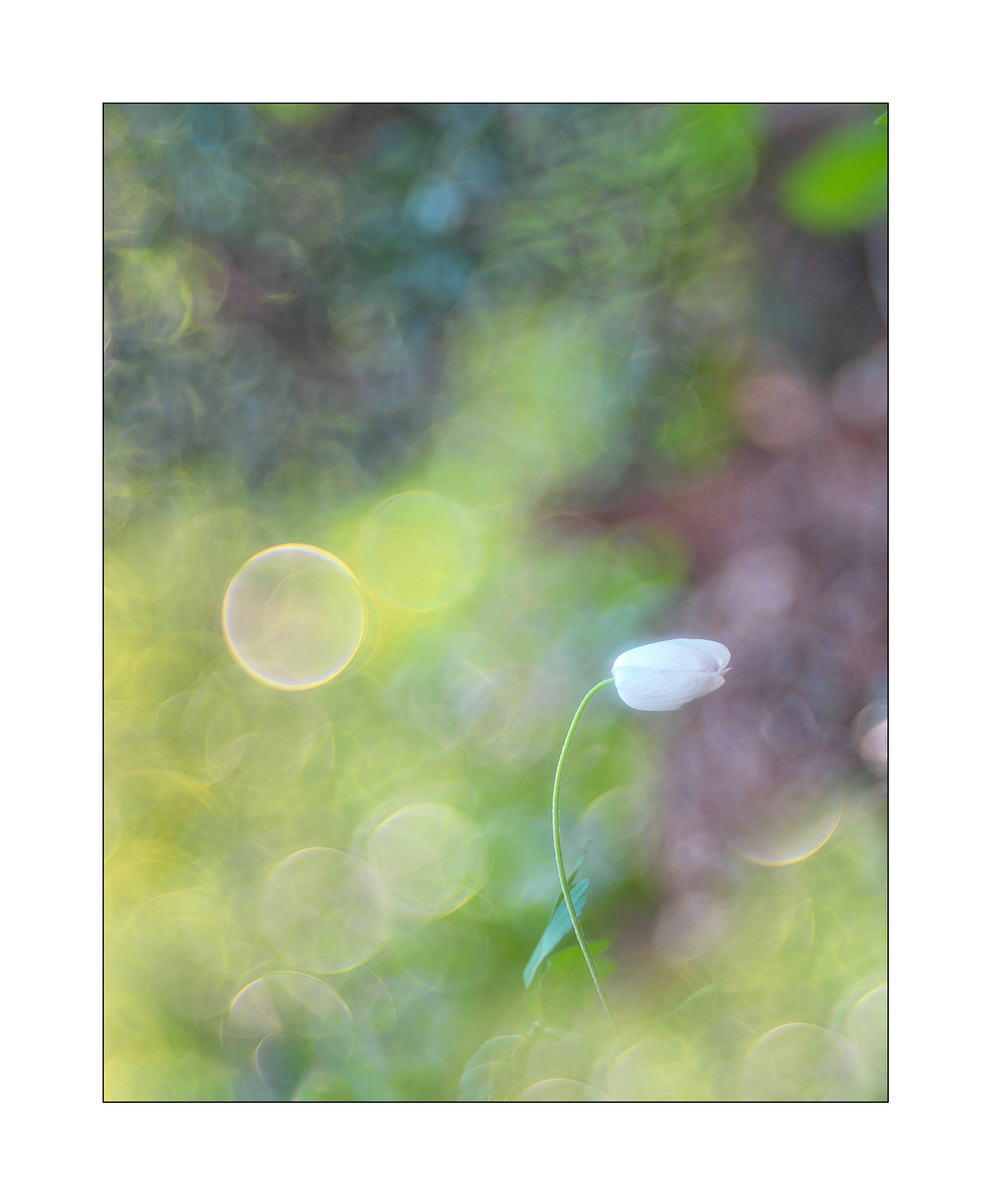 Aspherical