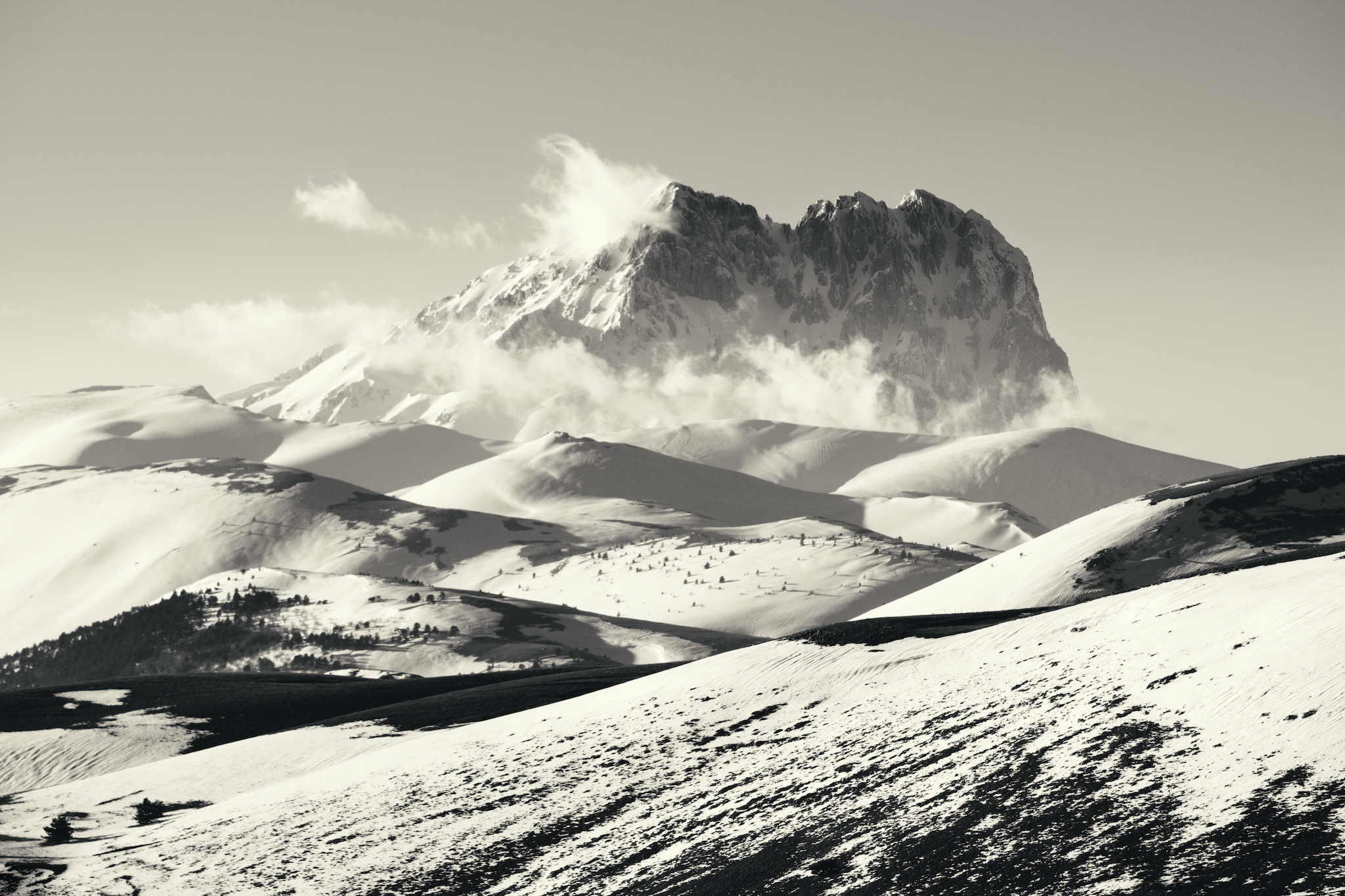 Tuft on the Great Horn