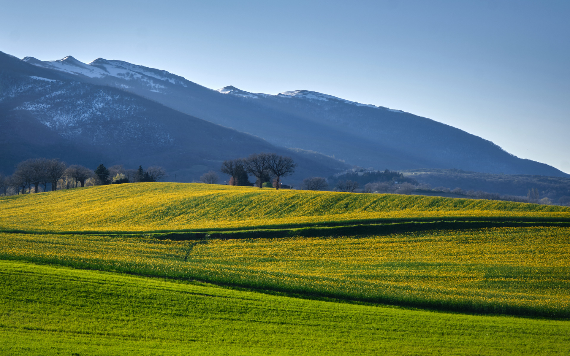 Countryside of Castelraimondo (MC)